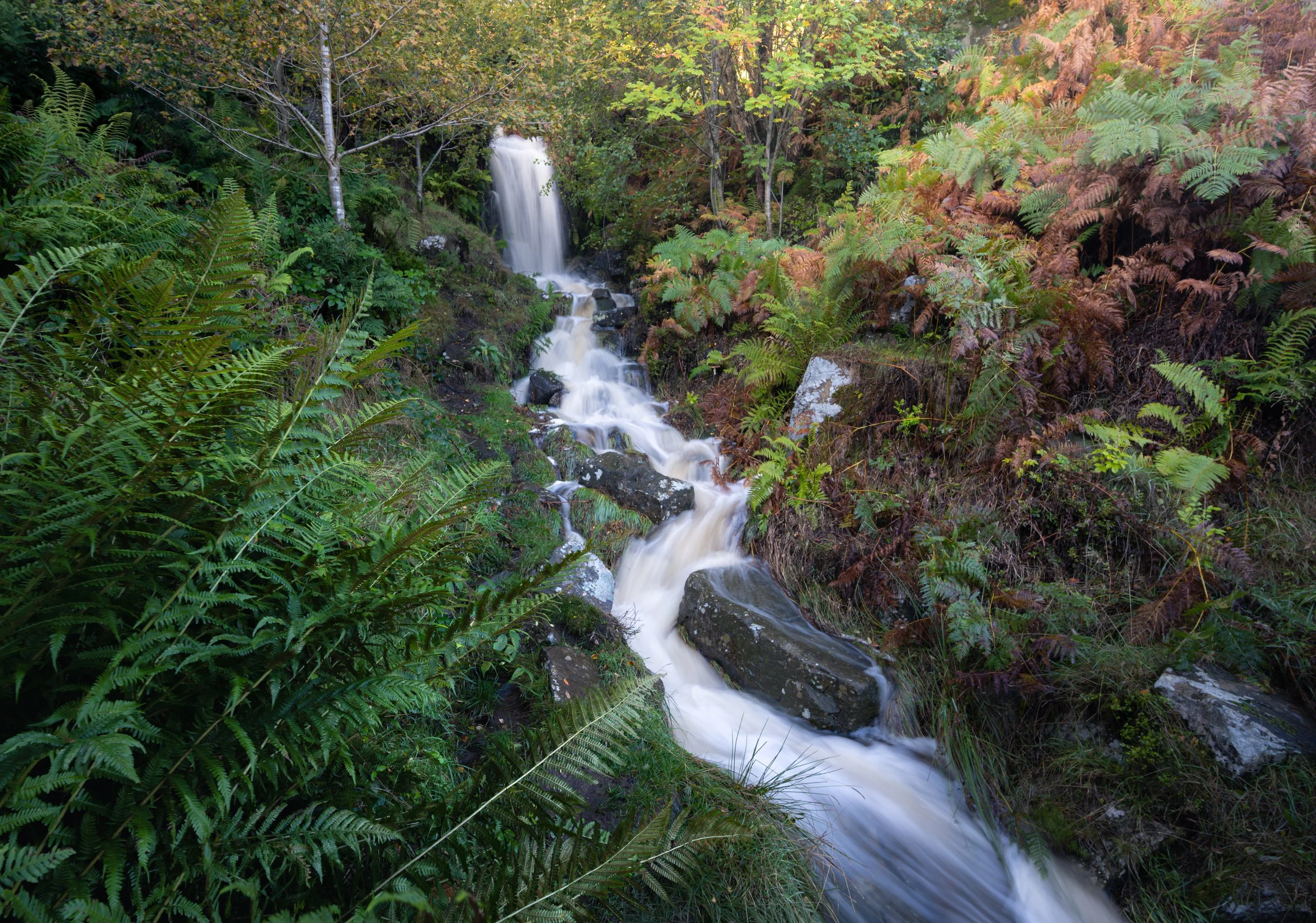 DSC_9298-2.jpg