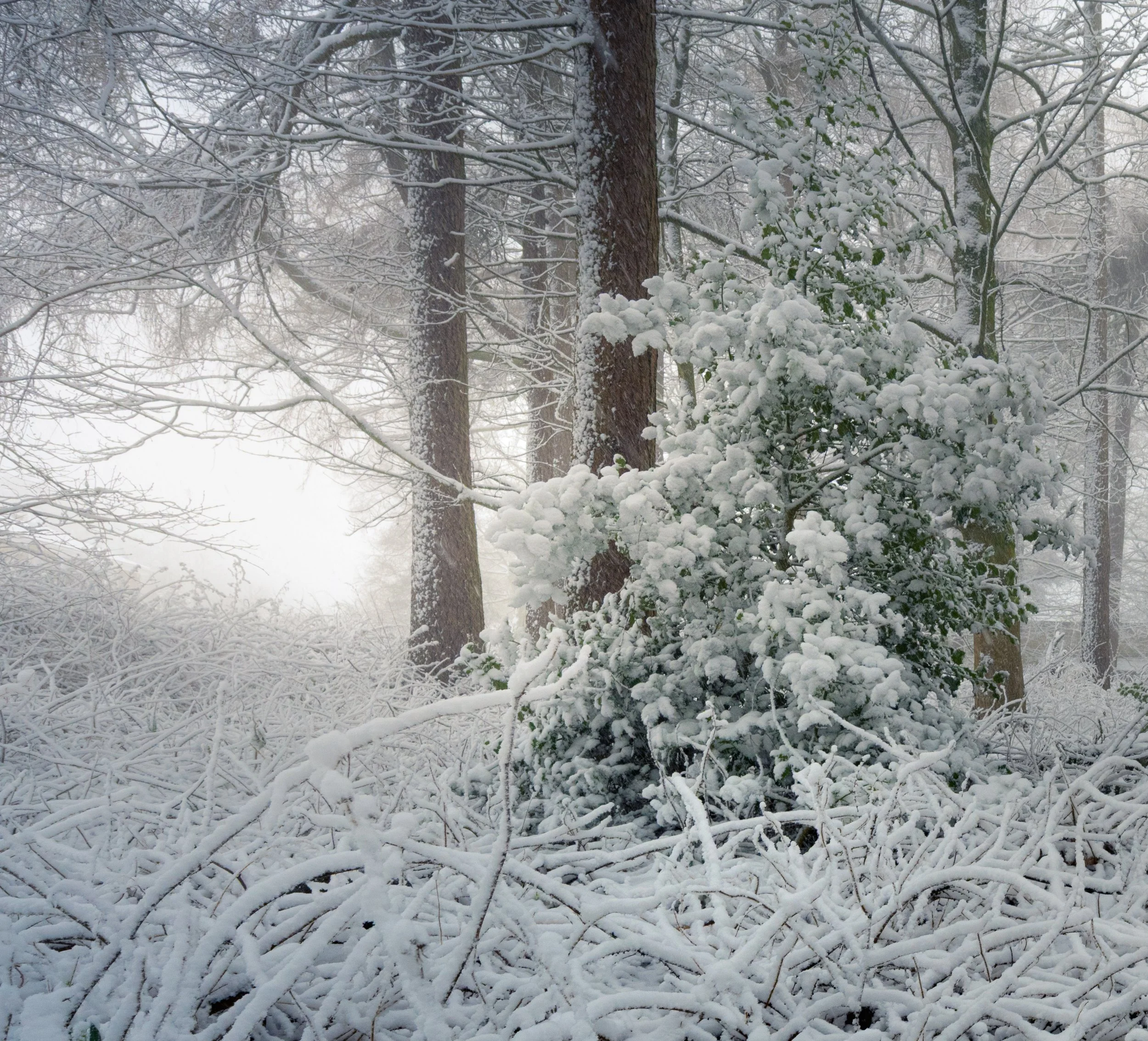 DSC_9055.jpg