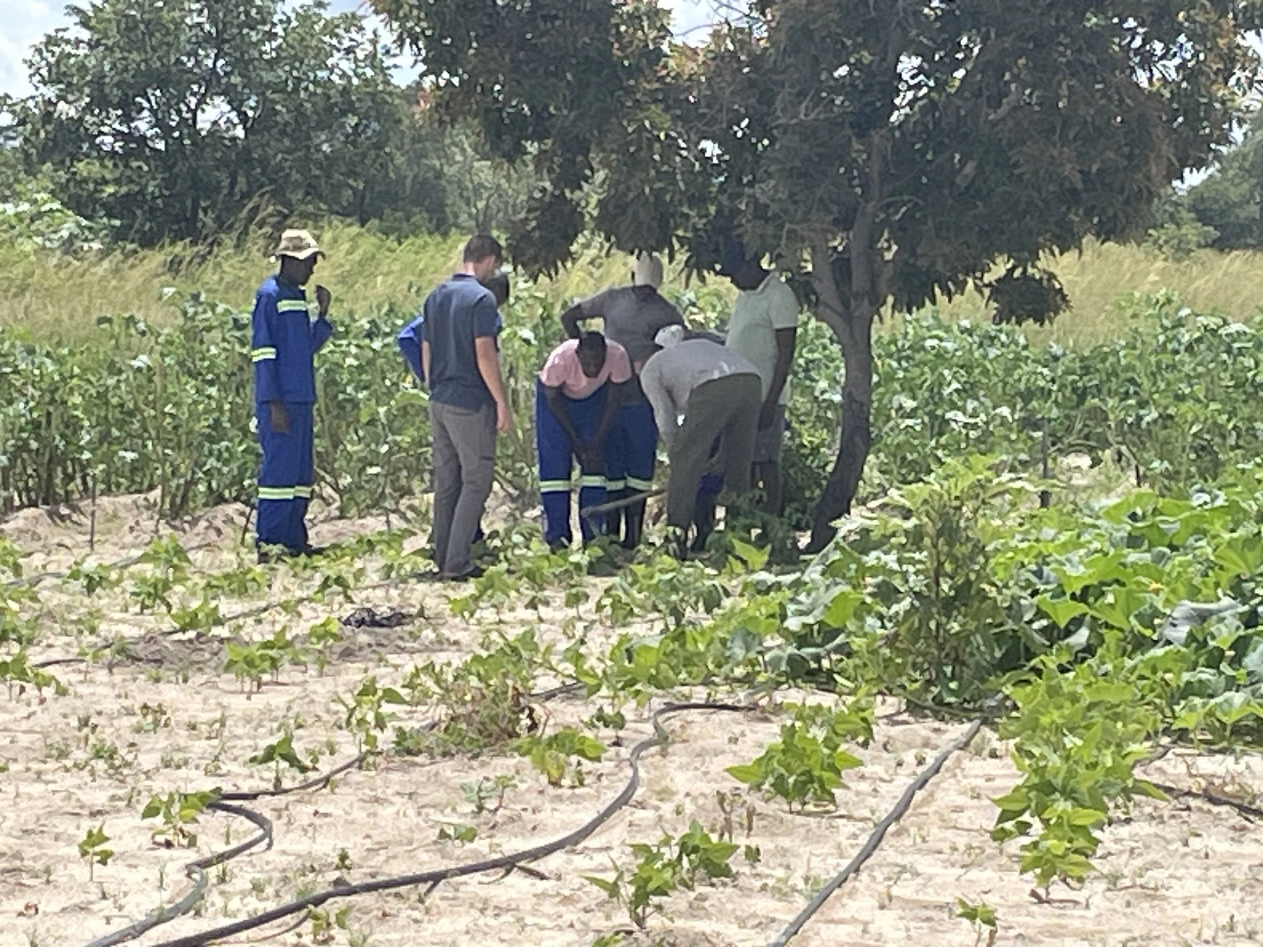 Agriculture Team Update