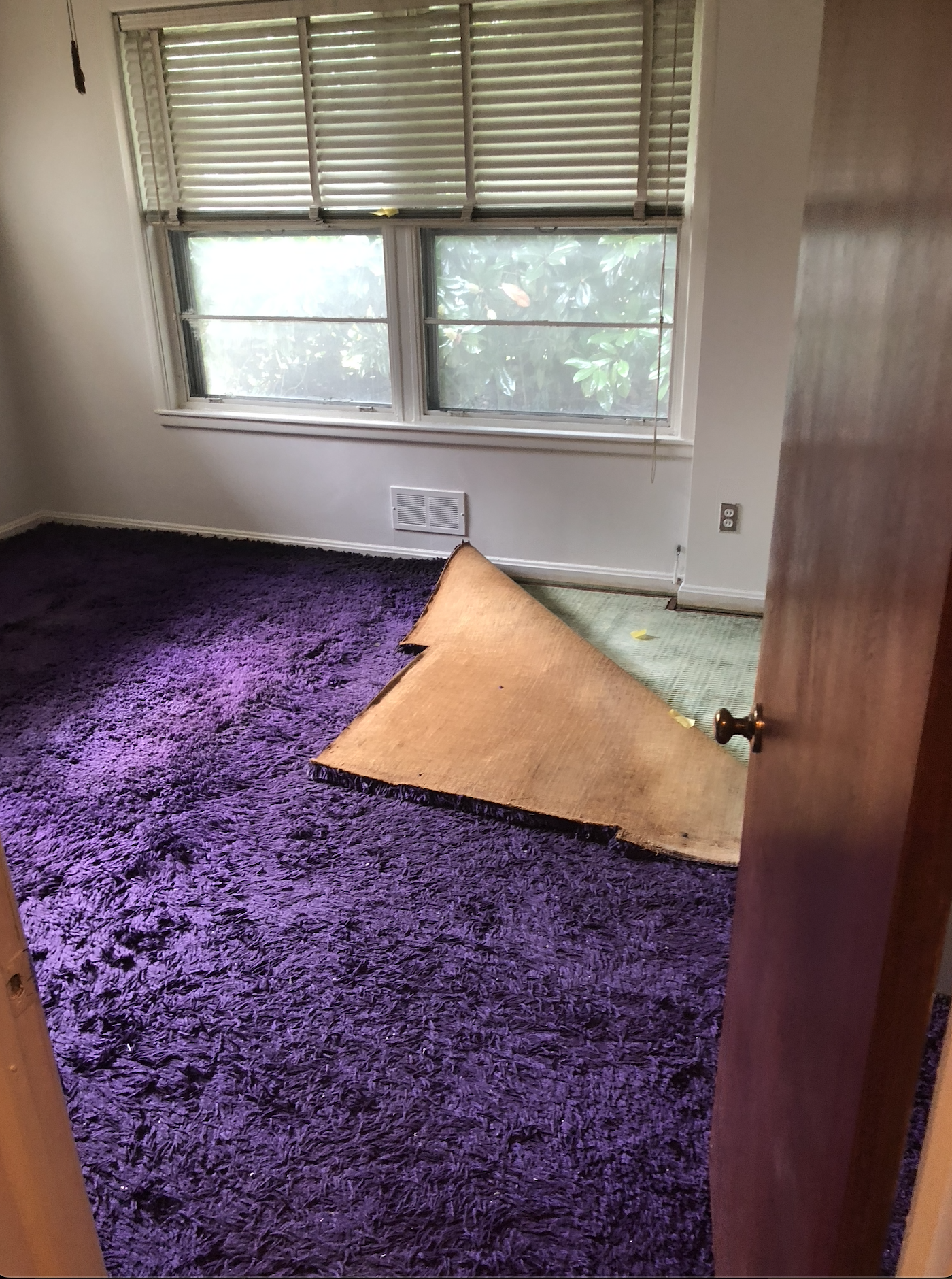 Screenshot 2025-07-24 at 10.15.19 AM.png