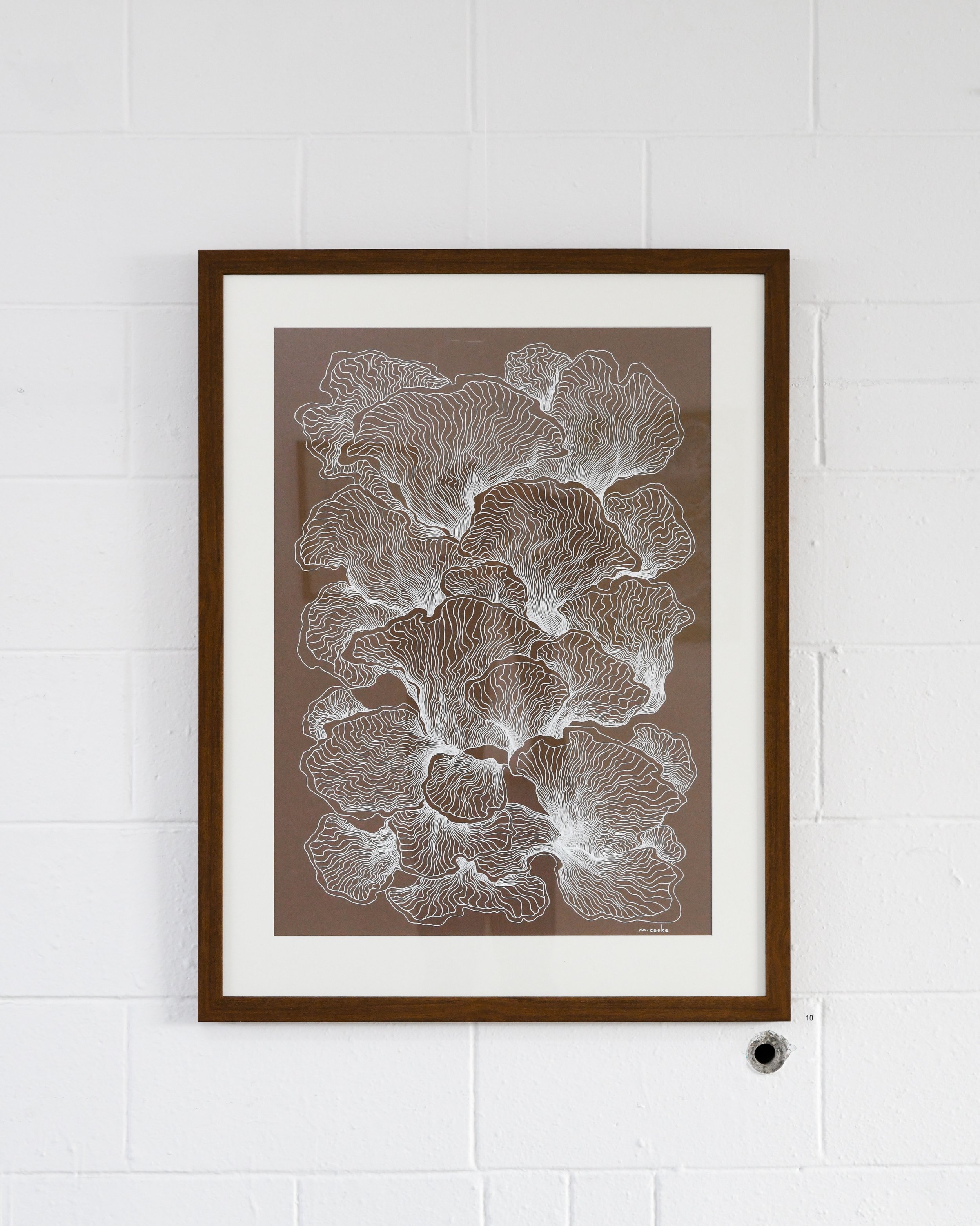 TSR_Mads_Cooke_Catalogue_Jack_Fenby_DSC_0648.jpg