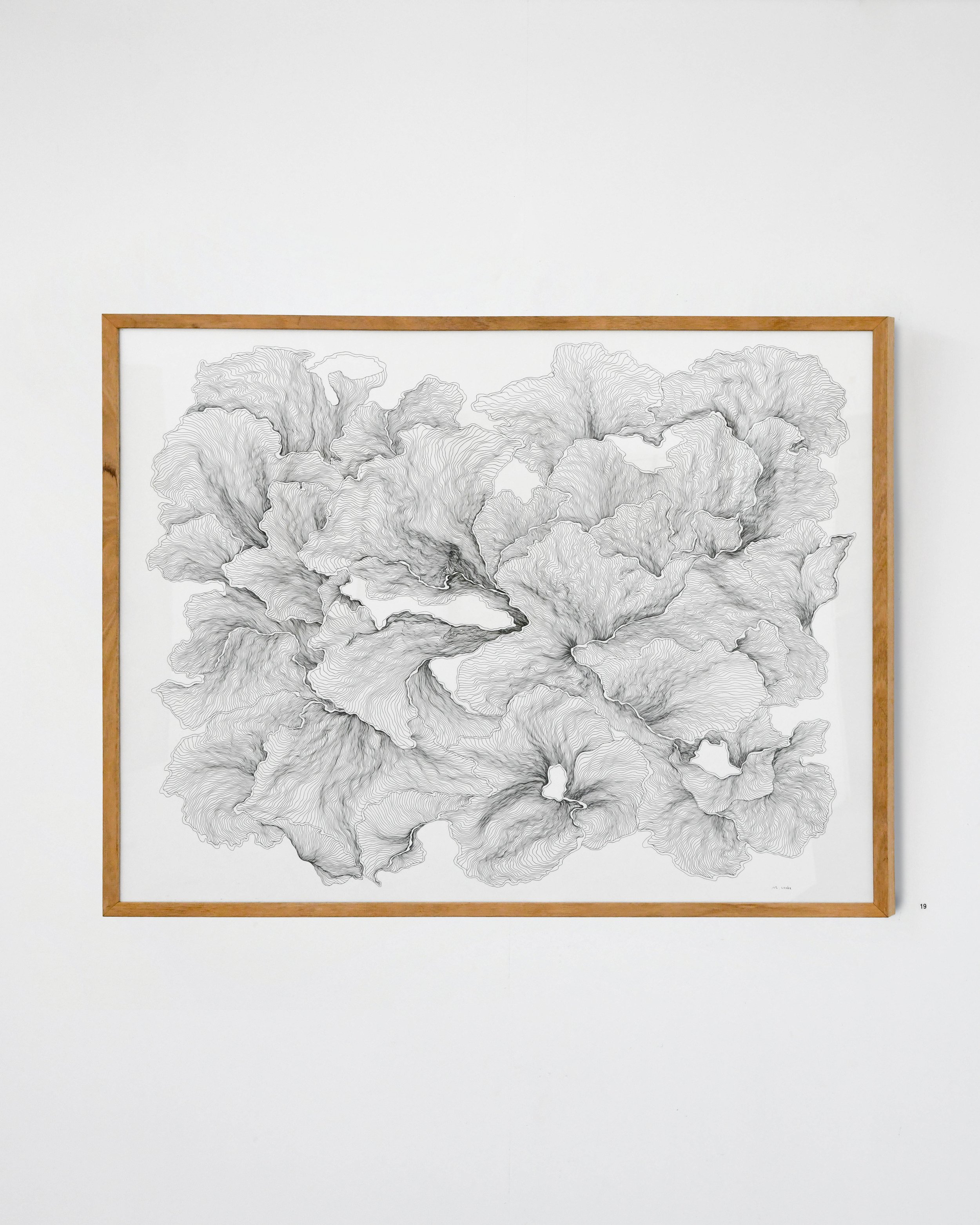 TSR_Mads_Cooke_Catalogue_Jack_Fenby_DSC_0659.jpg