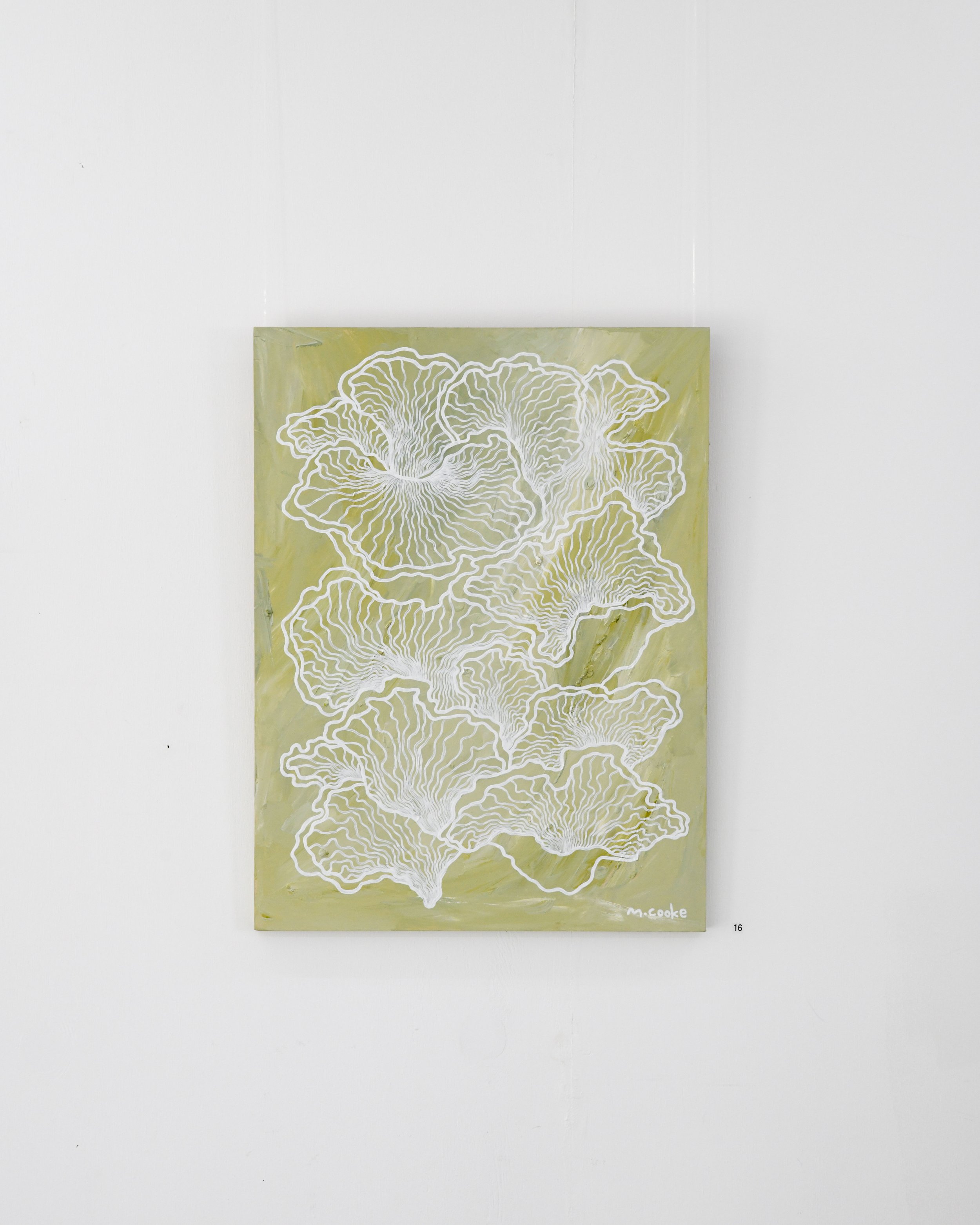 Oyster mushrooms in soft greens