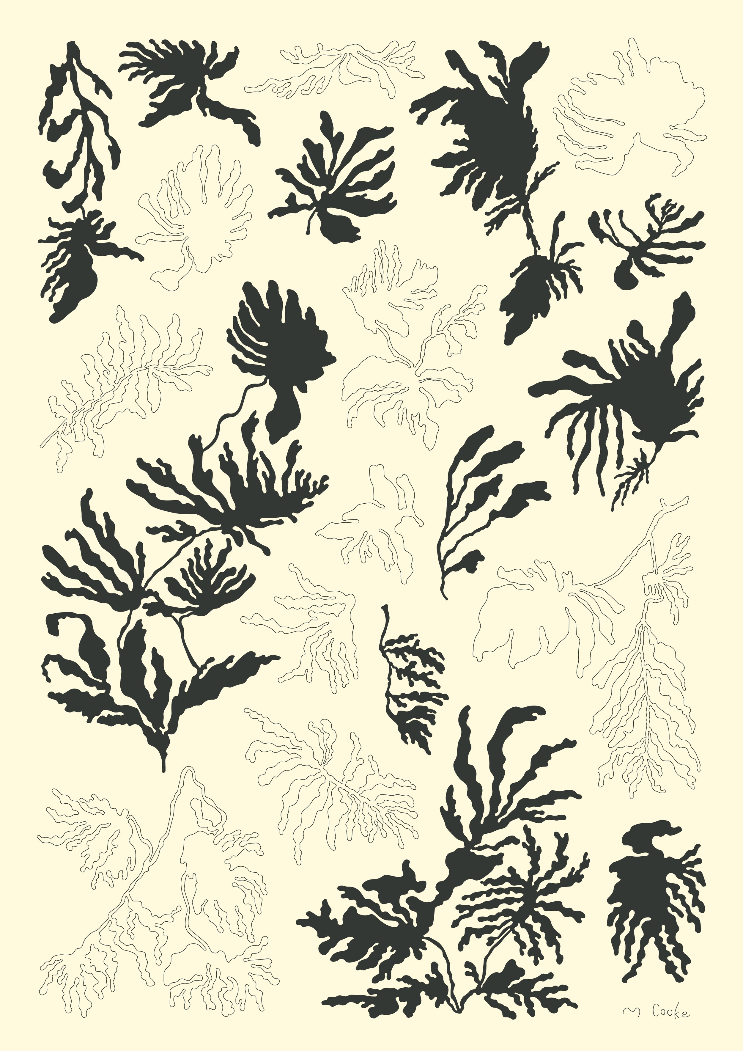 botanicalstudy_03.jpg