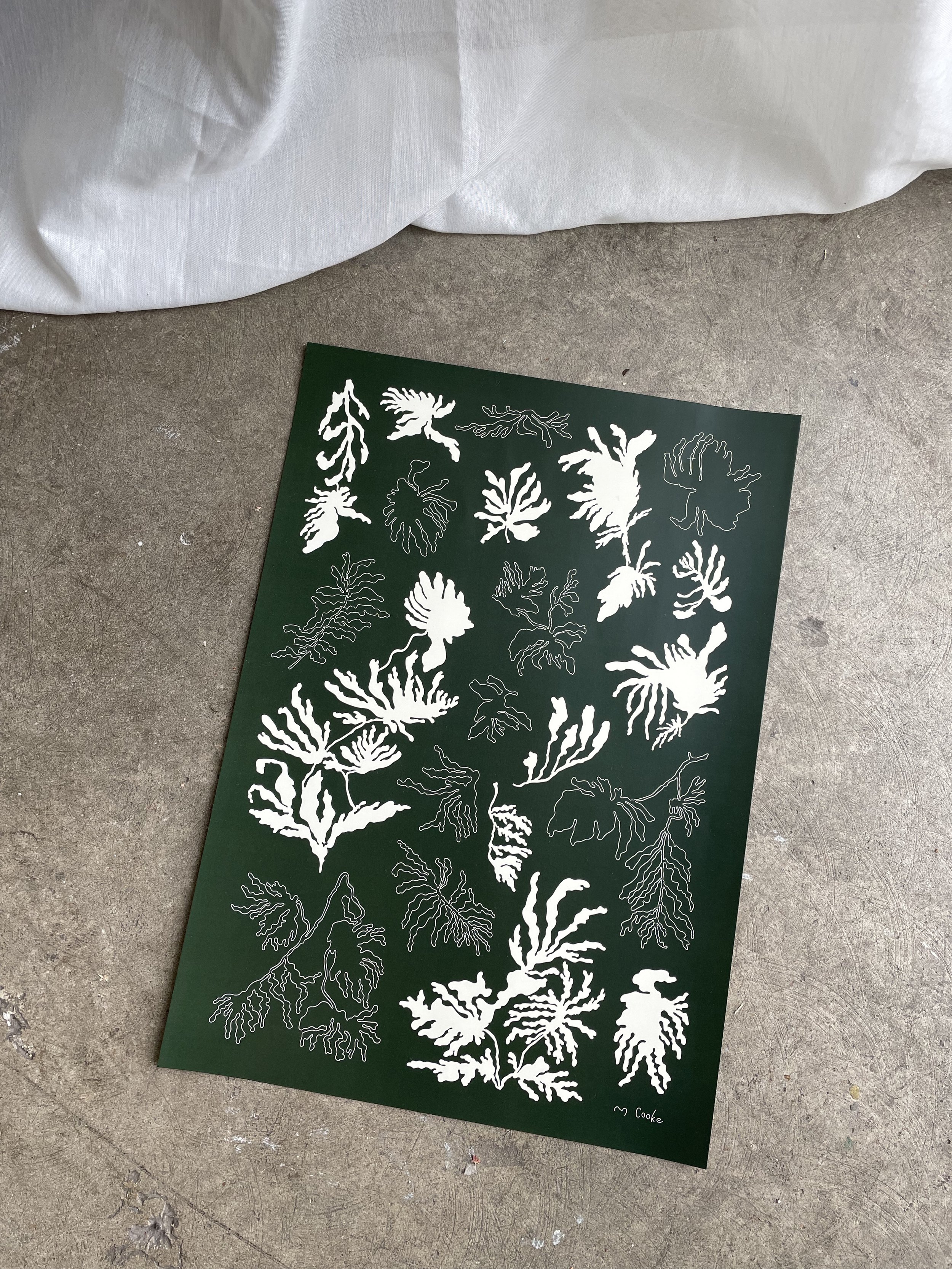 Line + Body (Juniper Green)