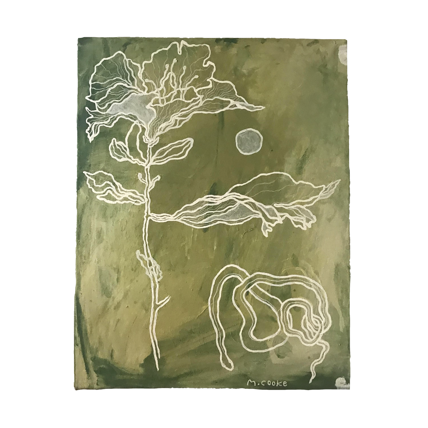 Flower & the Slither