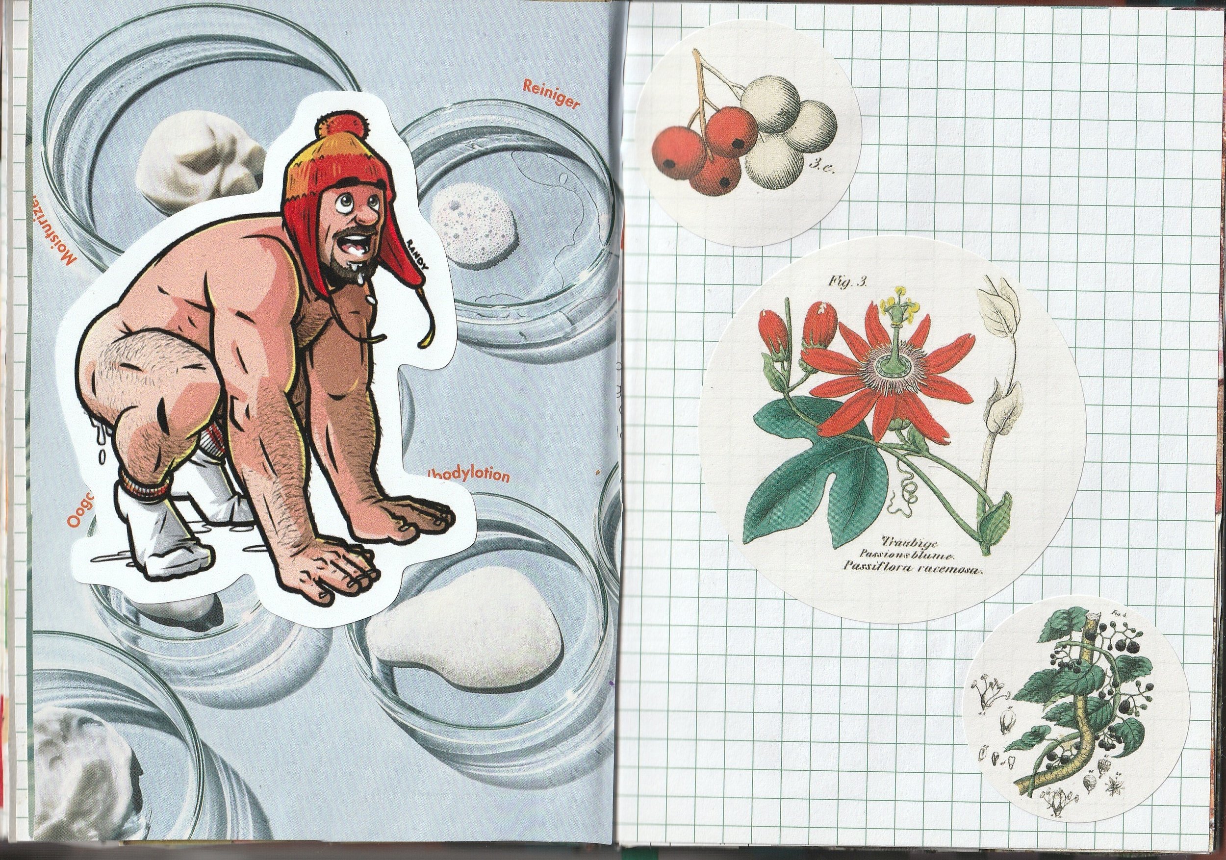 Page 17.jpg
