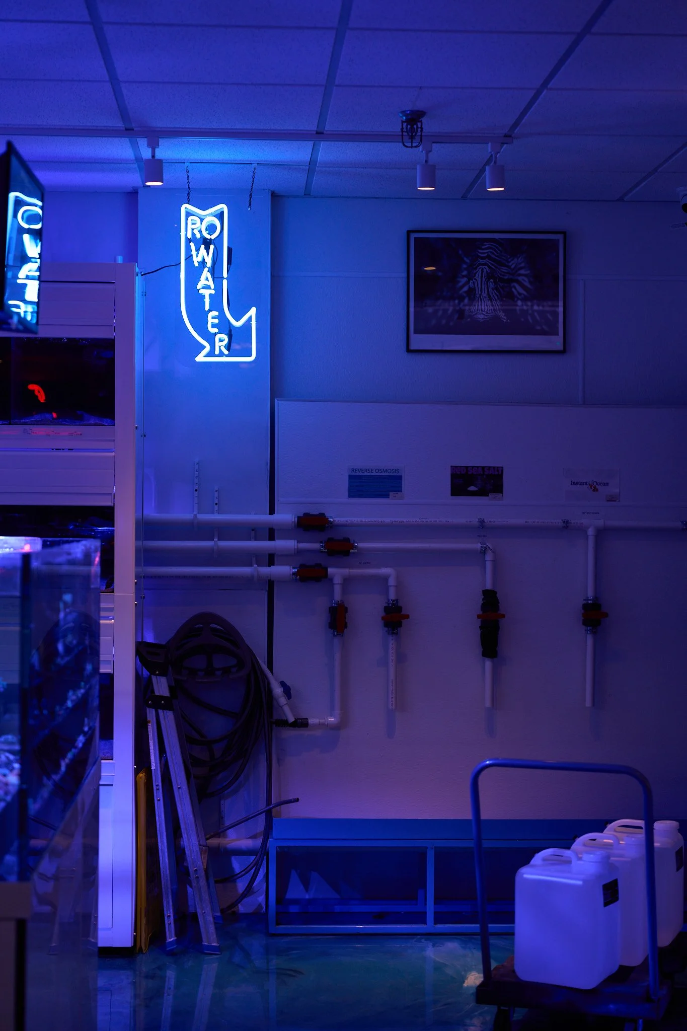 Reverse Osmosis water fill area, royal blue neon arrow on clear acrylic.