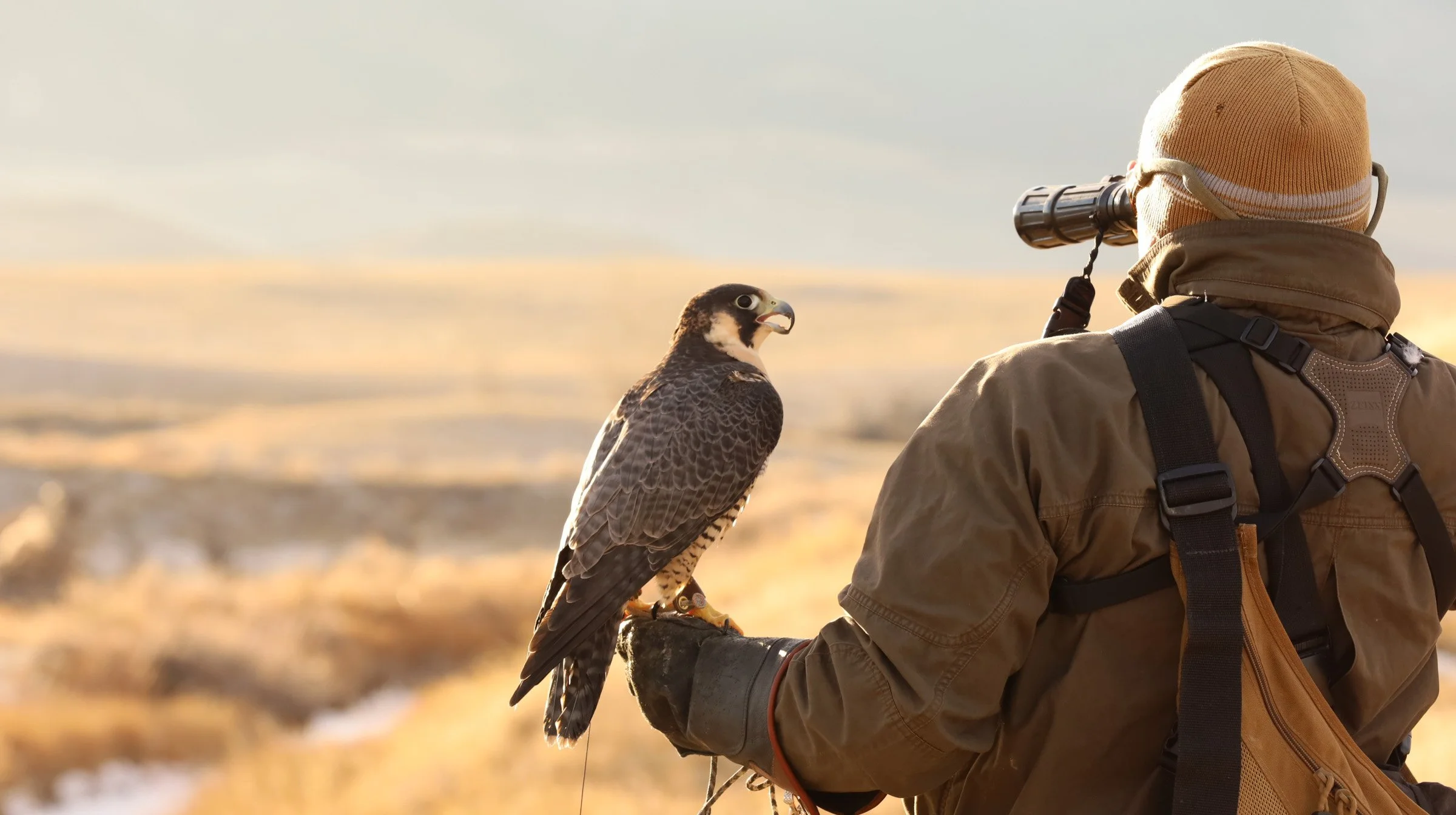 Guided outdoor nature walk with wildlife observation, bird watching, and field-based art experience at sunset.