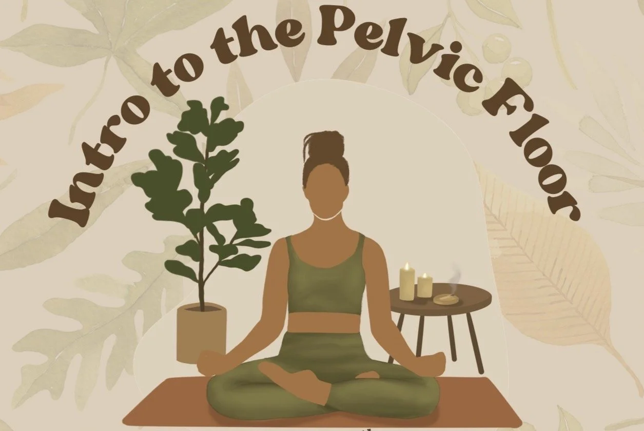 Intro to the Pelvic Floor