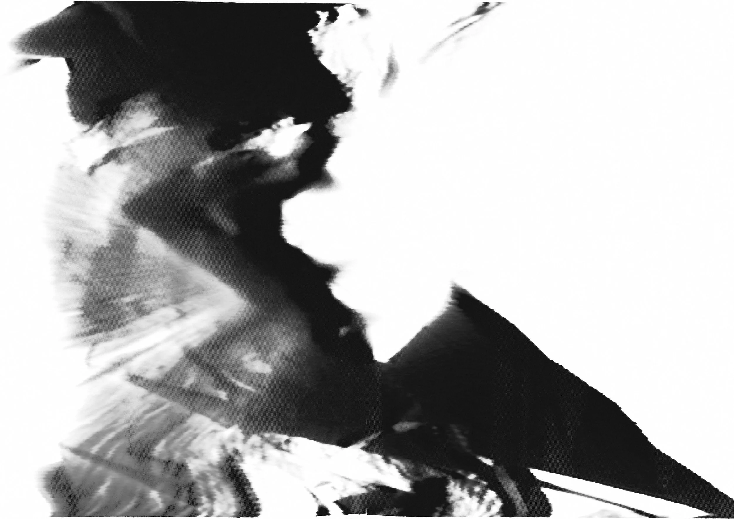 CY-0031.jpg