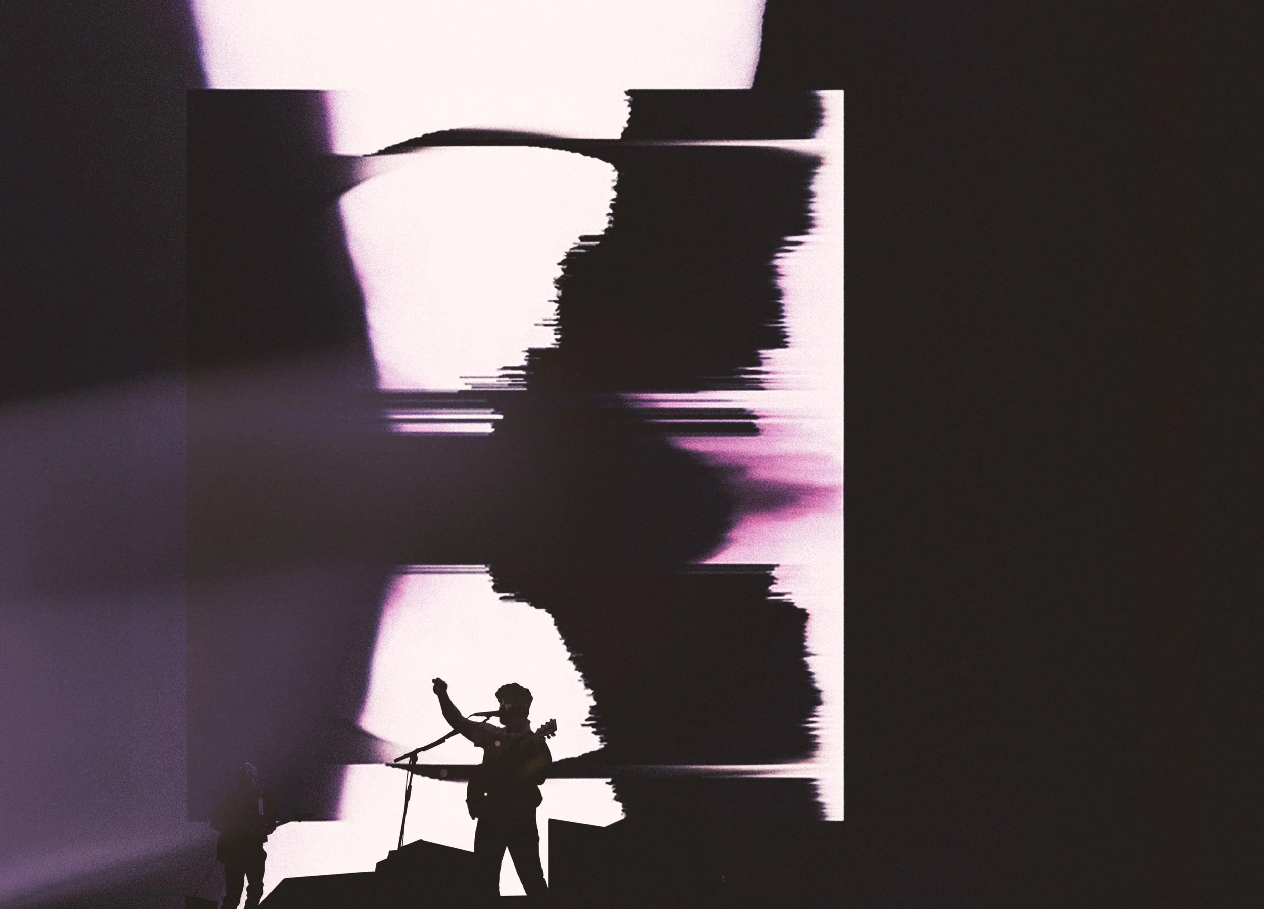Foals 6.jpg