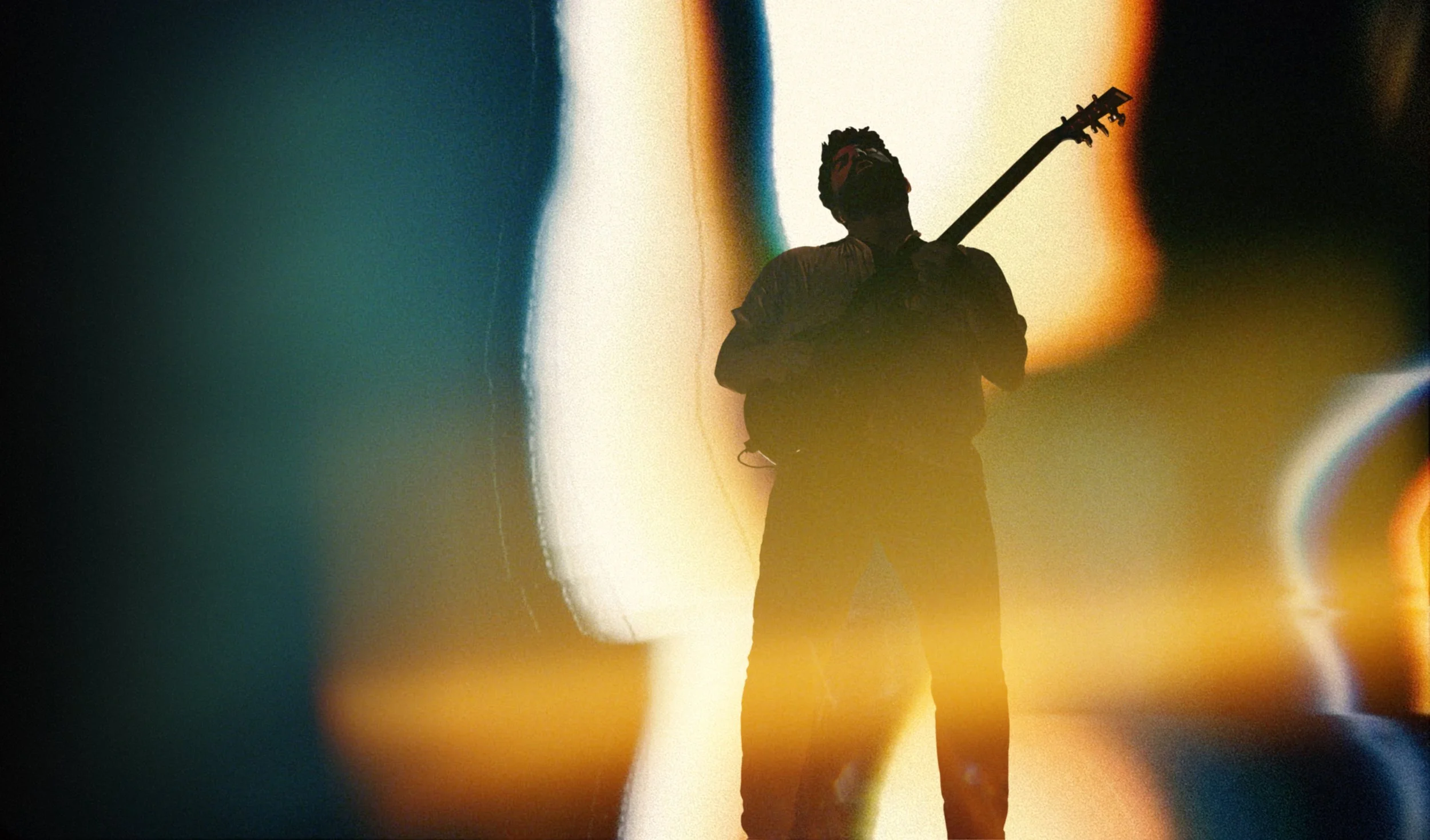 Foals 4d.jpg