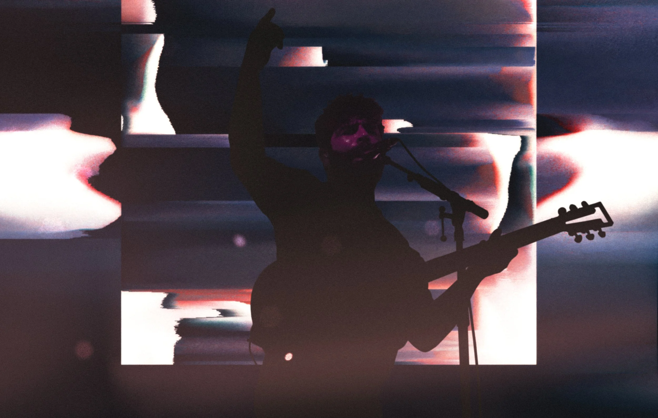 Foals 3c.jpg