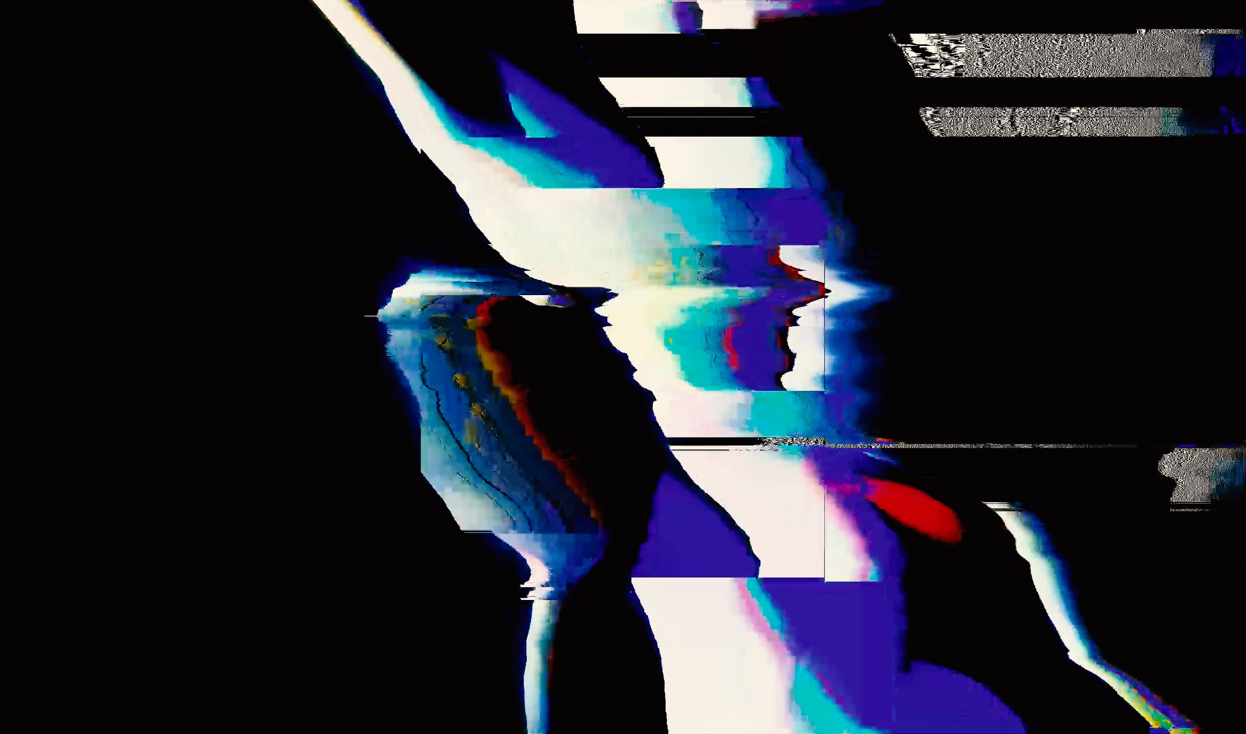 Foals_7.jpg