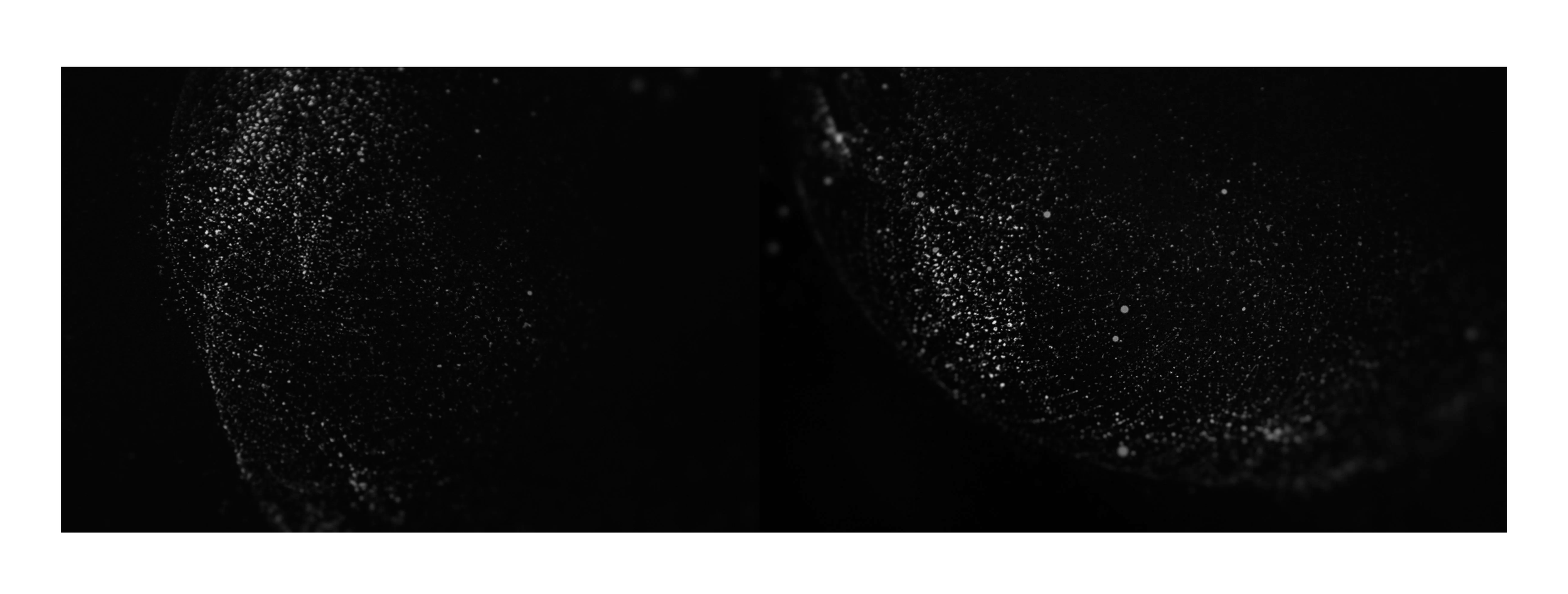 Screenshot 2026-05-26 at 12.13.33.png