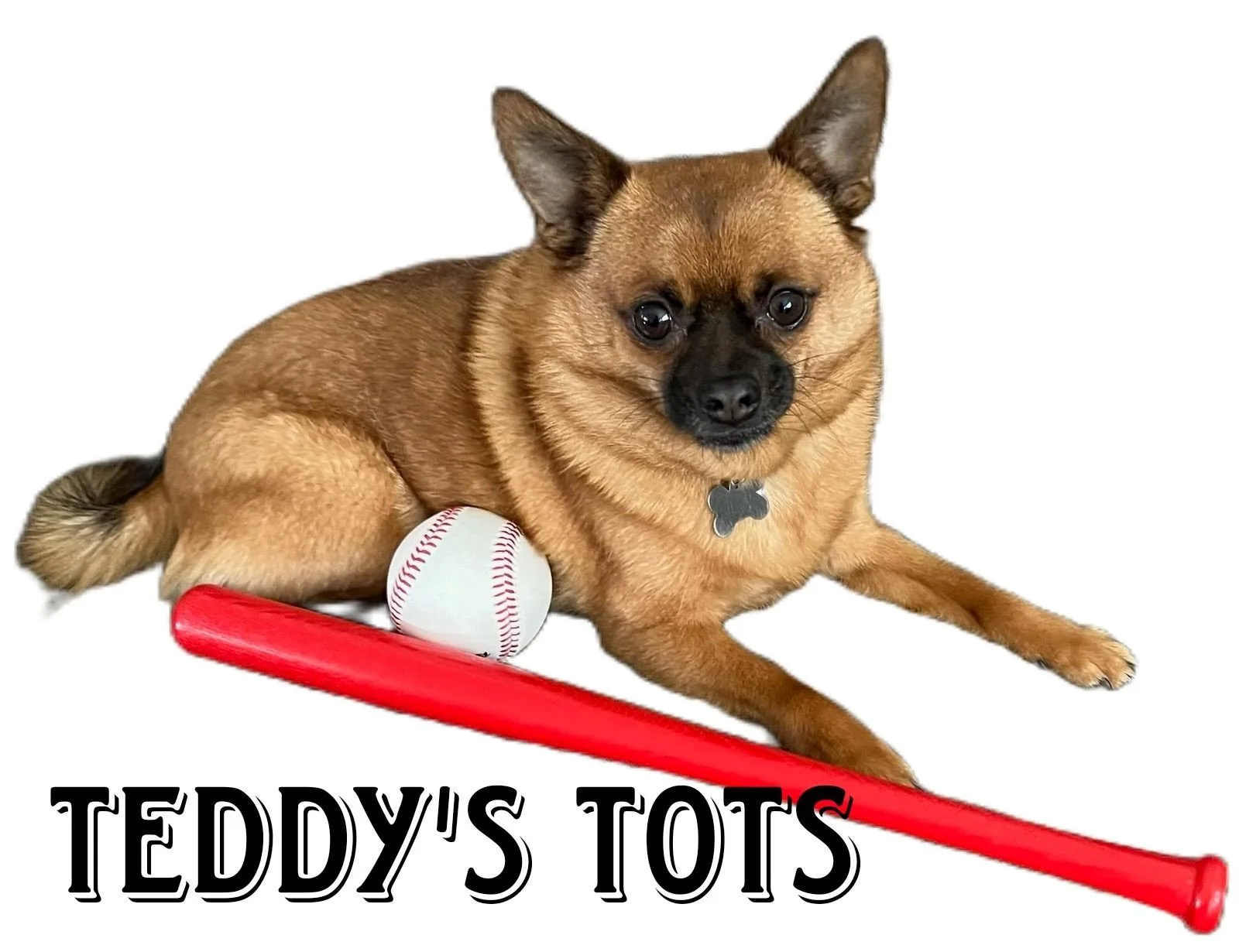 Teddy Tots.jpg
