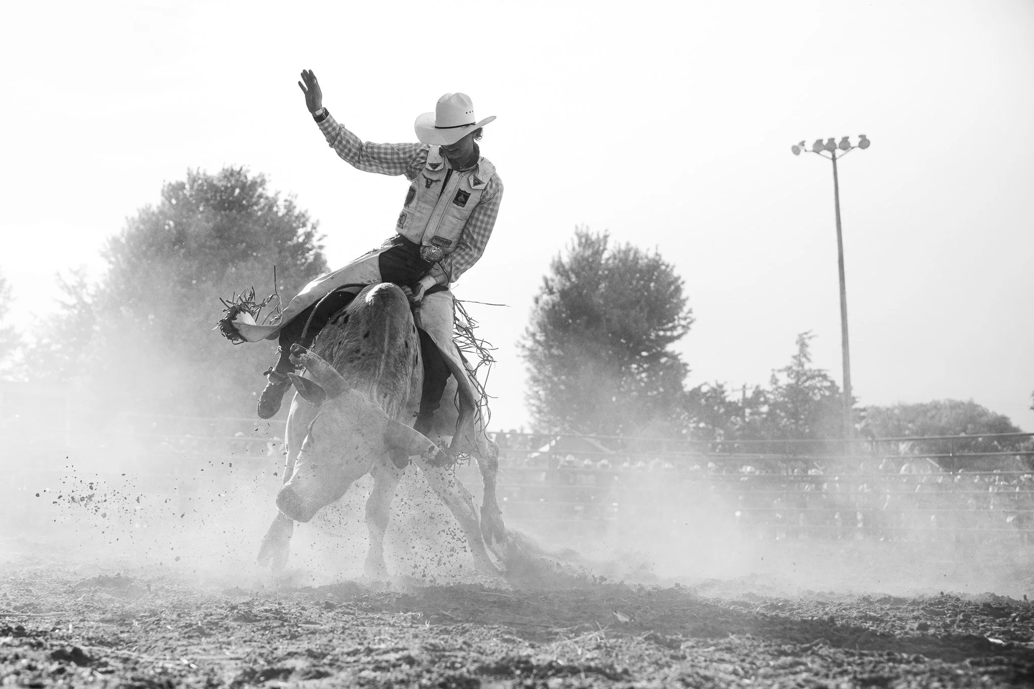 Rodeo Rumble