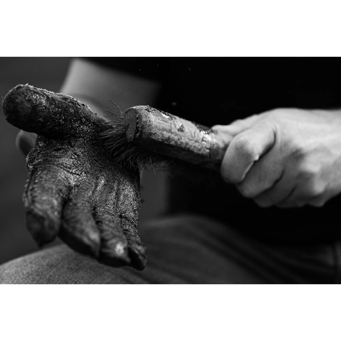 Sticky 

Shot for the Shootout at the Lake 

#pbr #bullriding #rodeo #cowboy #rodeotime #bullriders #rodeophotography #southdakota #rodeowrecks #cowboylife #rodeo