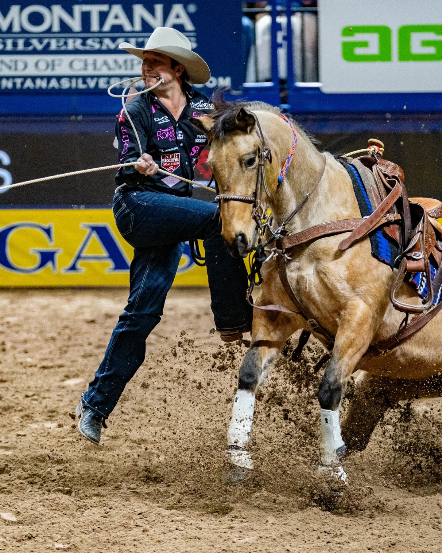 A few from the NFR

Shot for Sports Illustrated Rodeo 

#rodeo #nfr #prorodeo #western #cowboy #rodeolife #cowboy #vegas #rodeowrecks