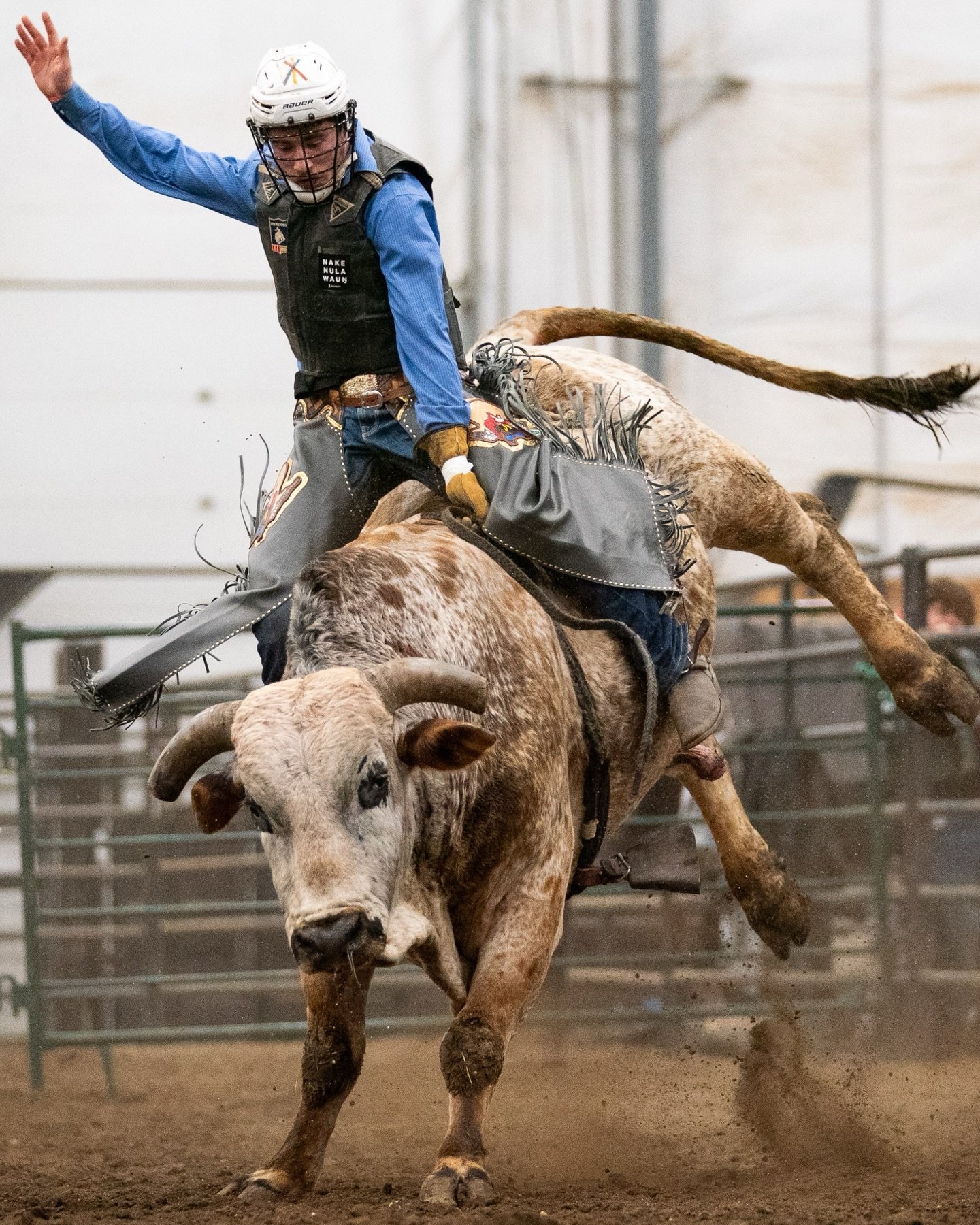 A few from the practice pen 

#rodeo #cowboy #bullriding #rodeophotography #southdakota