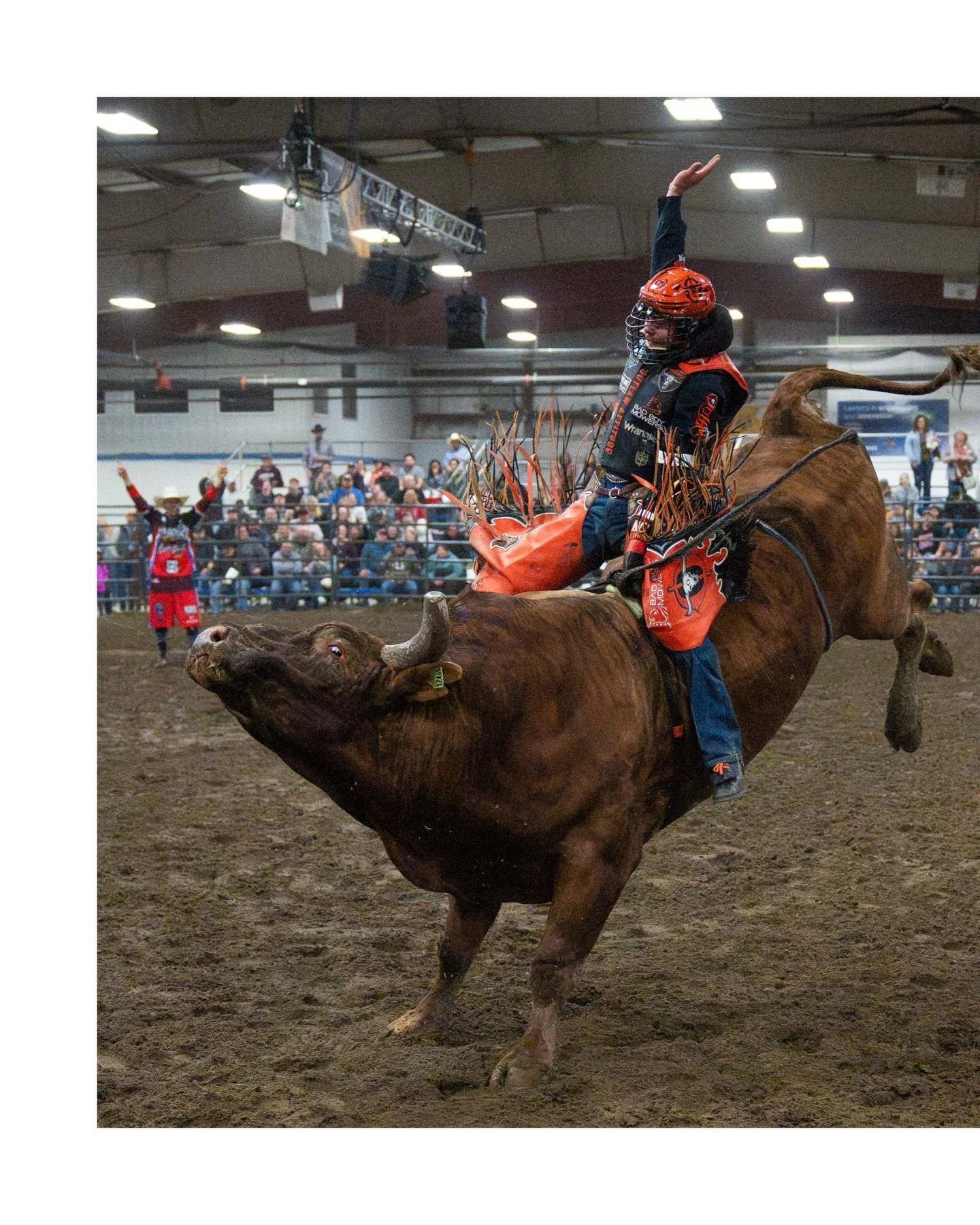 Night two in Aberdeen 

Shot for @aberdeenbullridingchallenge 

#bullriding #rodeo #rodeophotography #southdakota