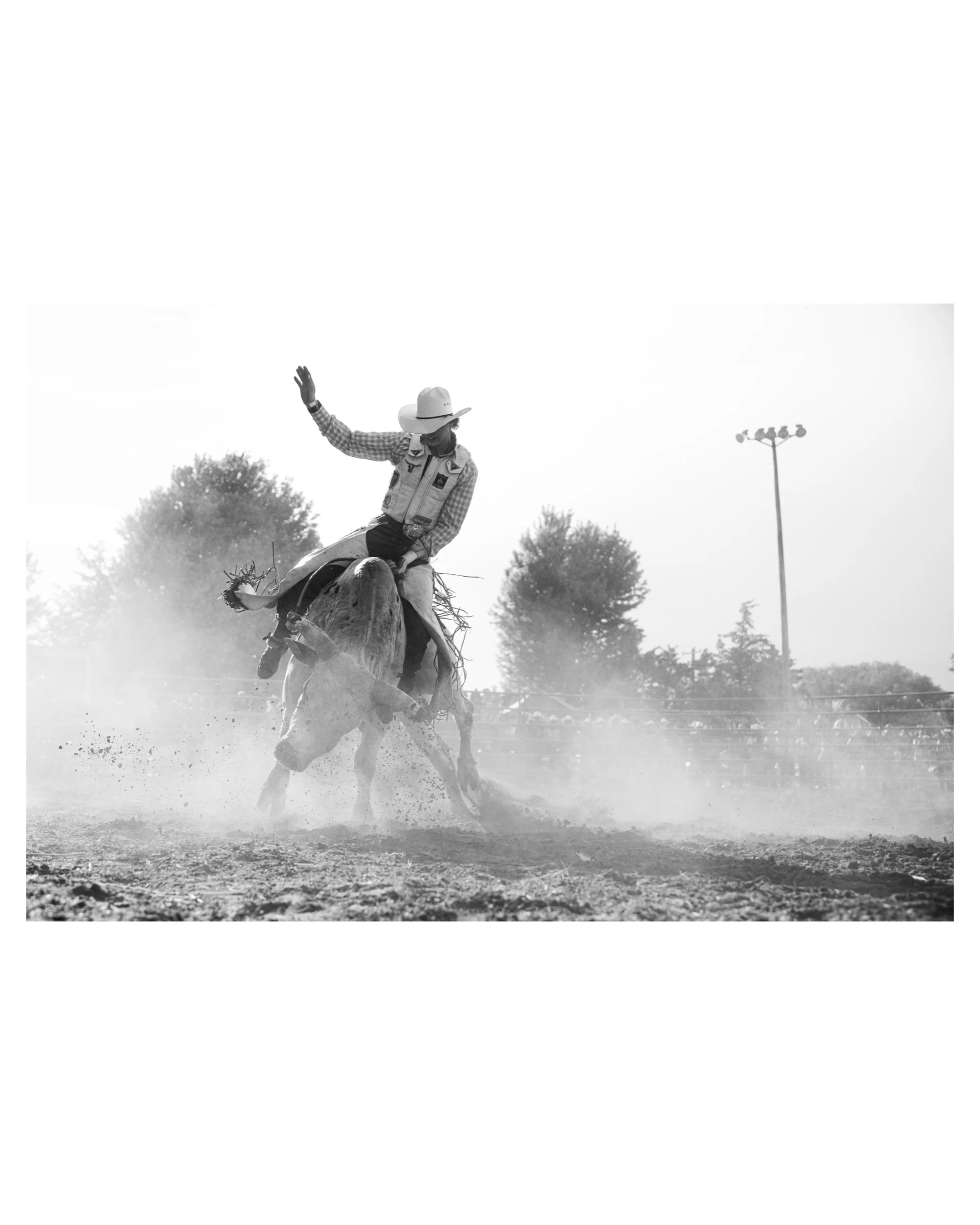 A few from South Sioux City 

Shot at the Rodeo Rumble 

#bullriding #bullfighter #pbr #rodeo #rodeophotography