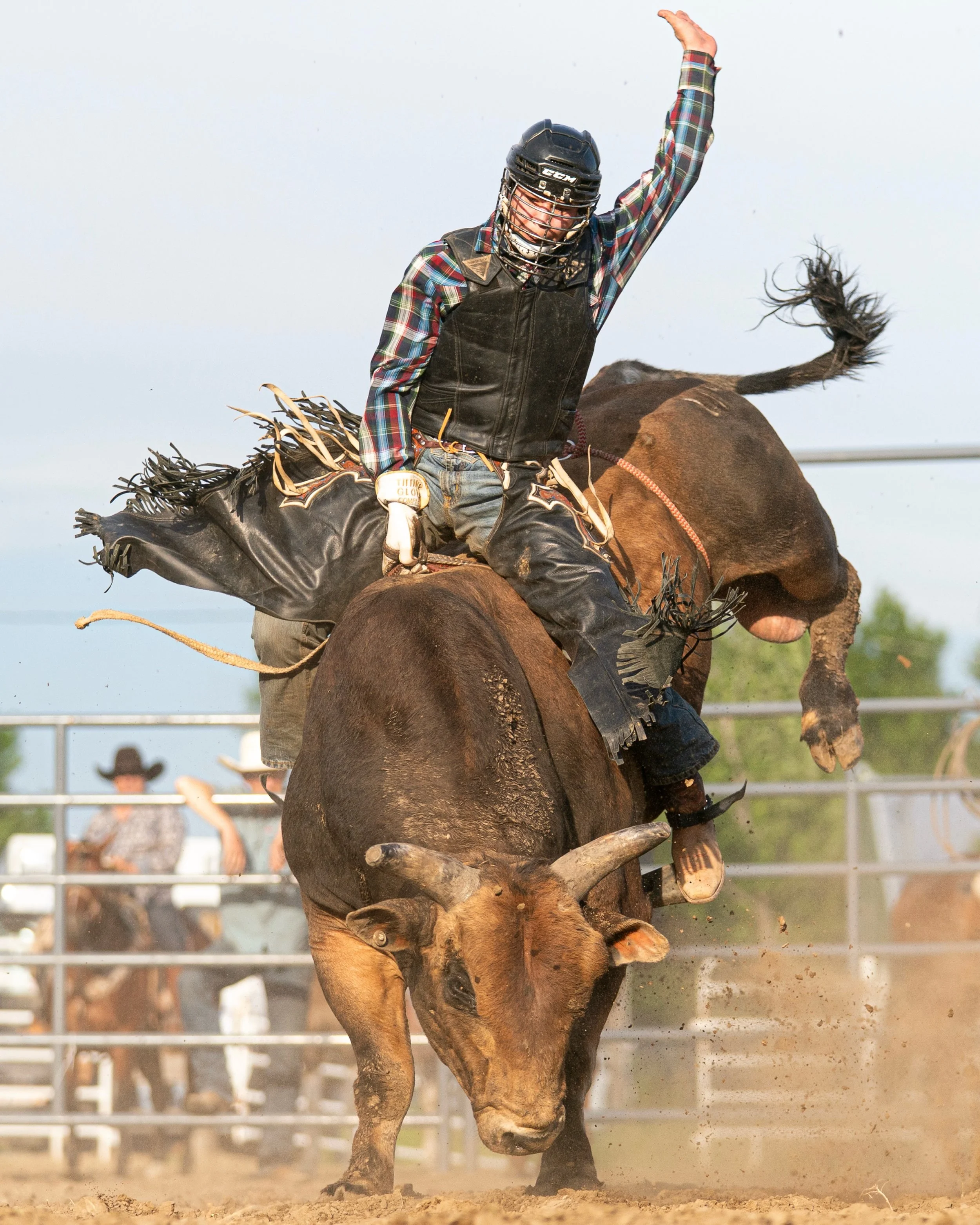 Lane Kruse 

Shot at the Rodeo Rumble 

#bullriding #bullfighter #pbr #rodeo #rodeophotography