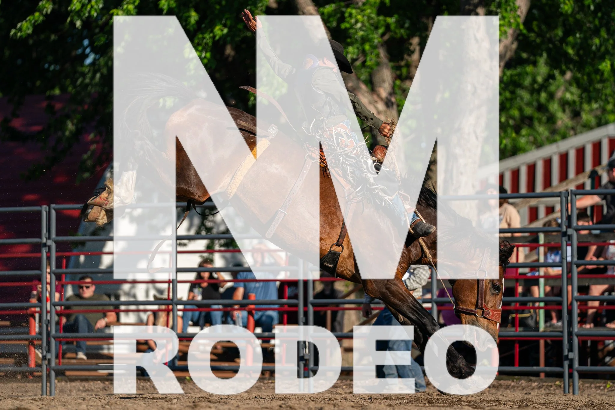 FlagFestRodeo-Night1-31.jpg