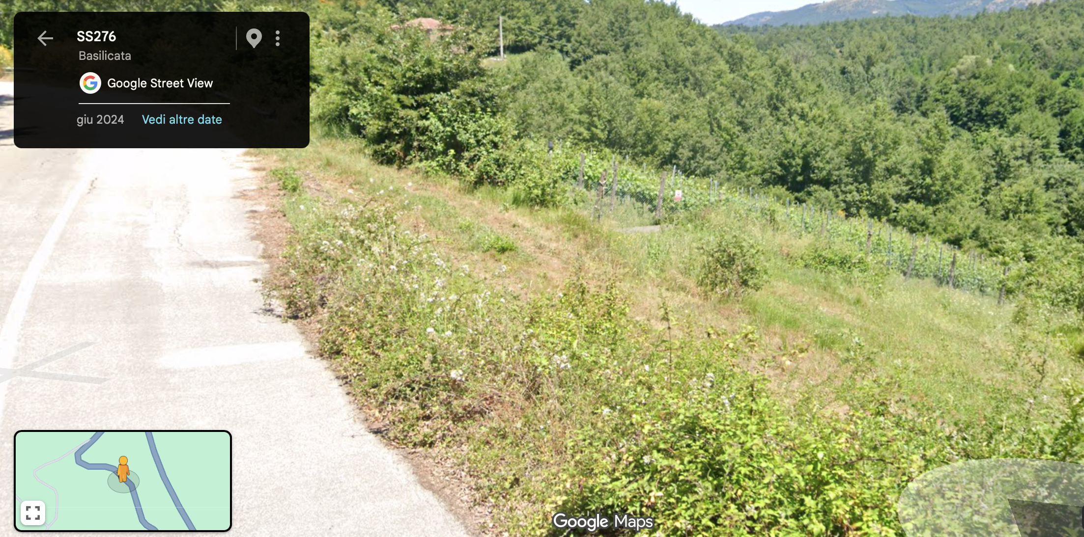Paesaggio naturale con strada e campagna coltivata, con filari di piante o vigneti, in una zona collinare verde.