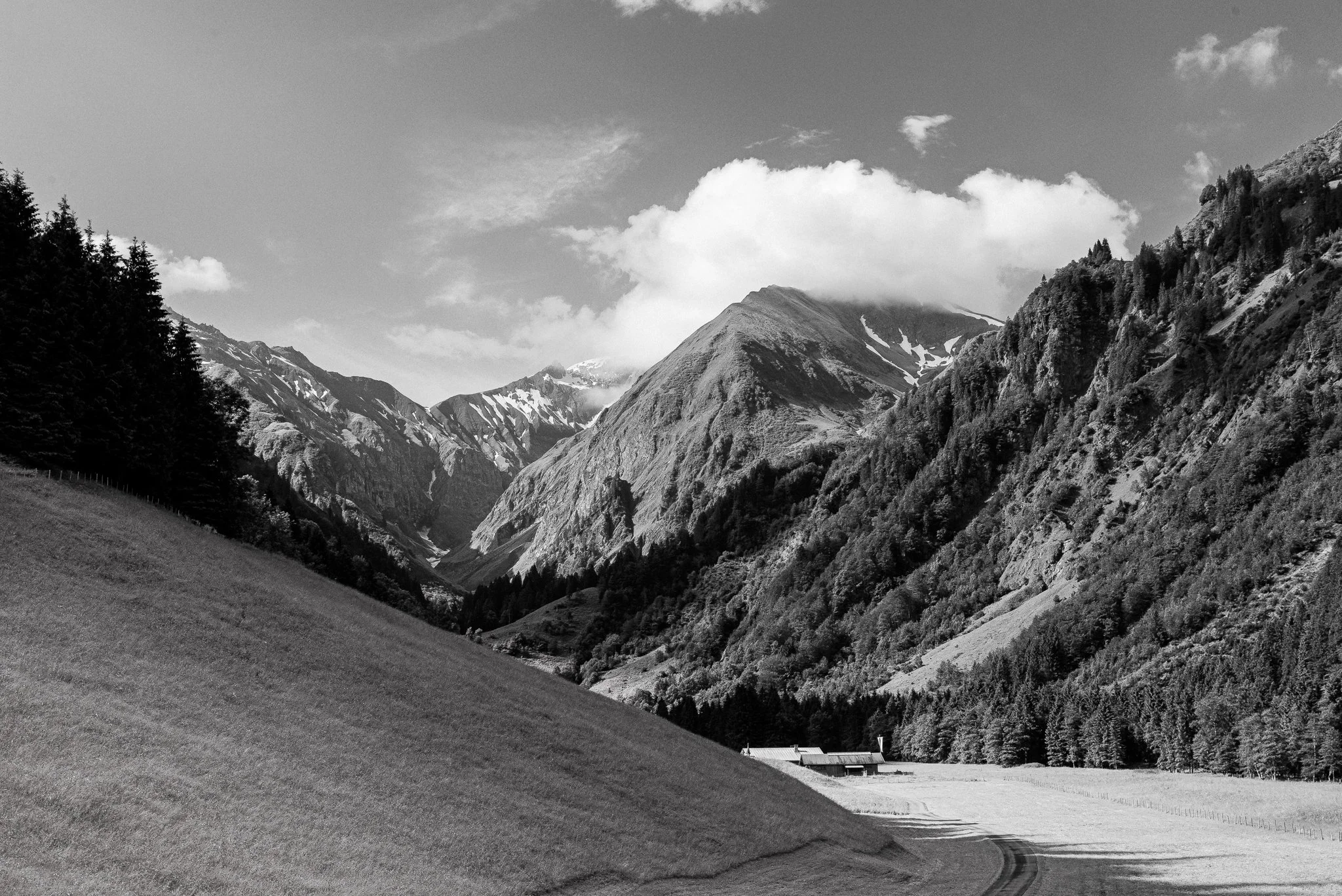 D61_0248_1.jpg