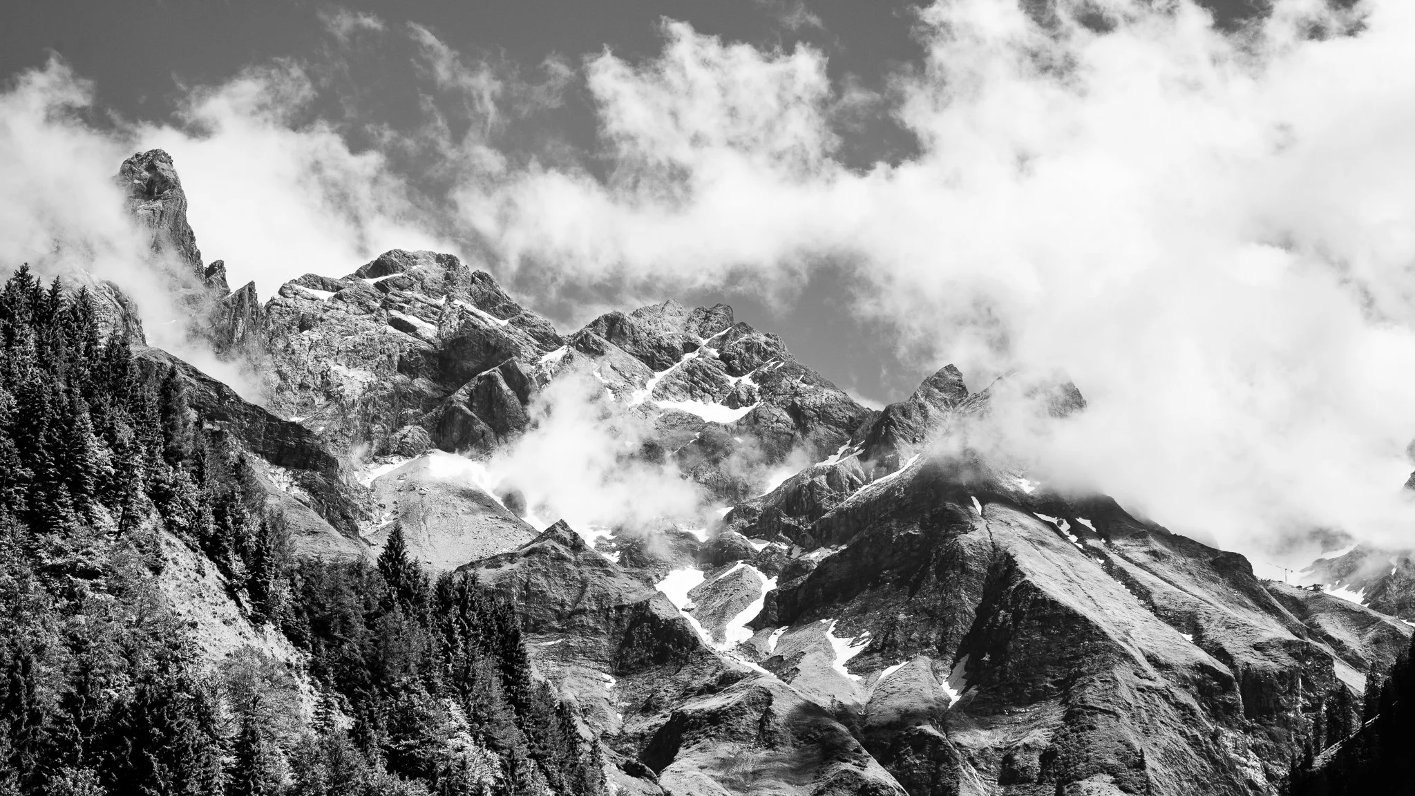 D61_0473.jpg