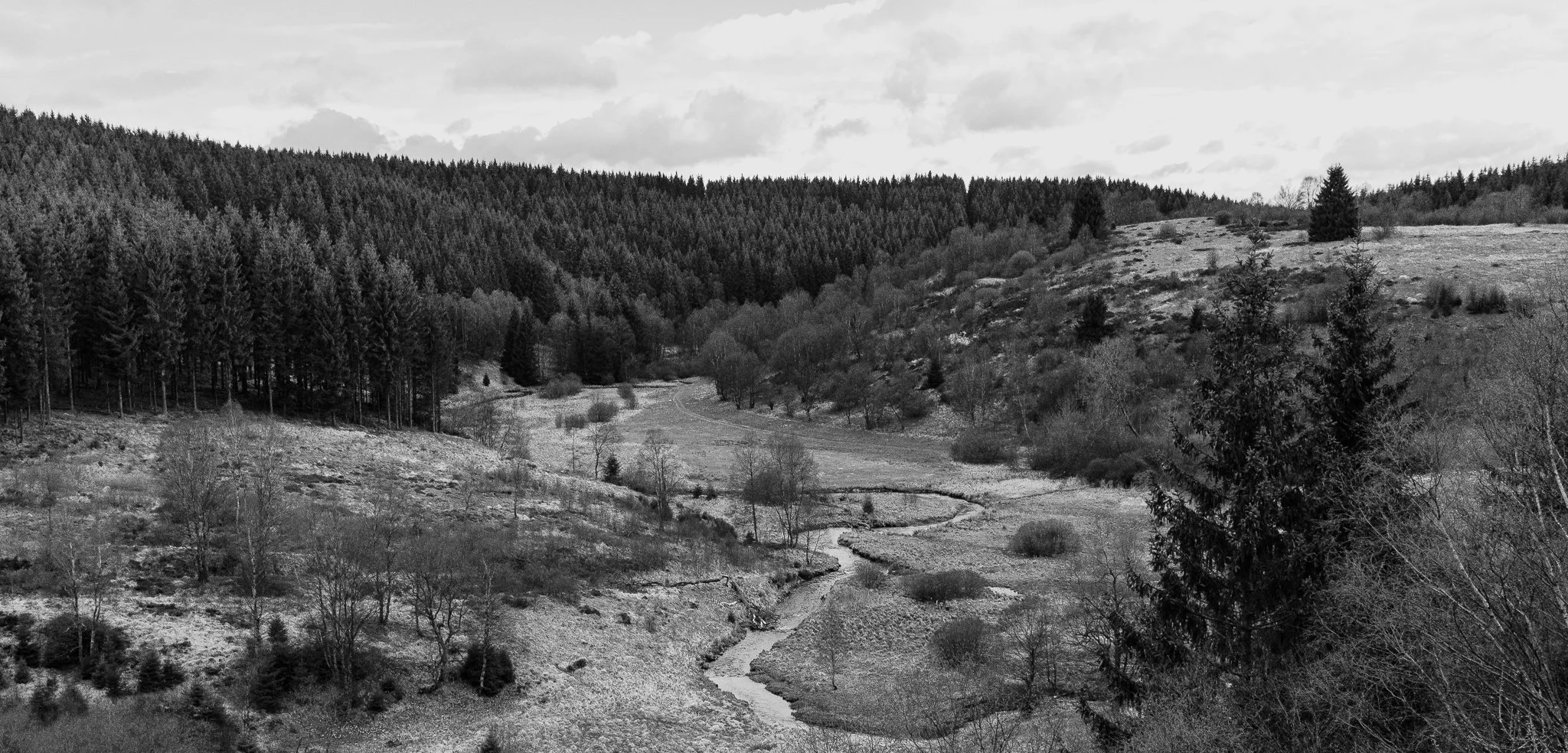 D61_7295.jpg