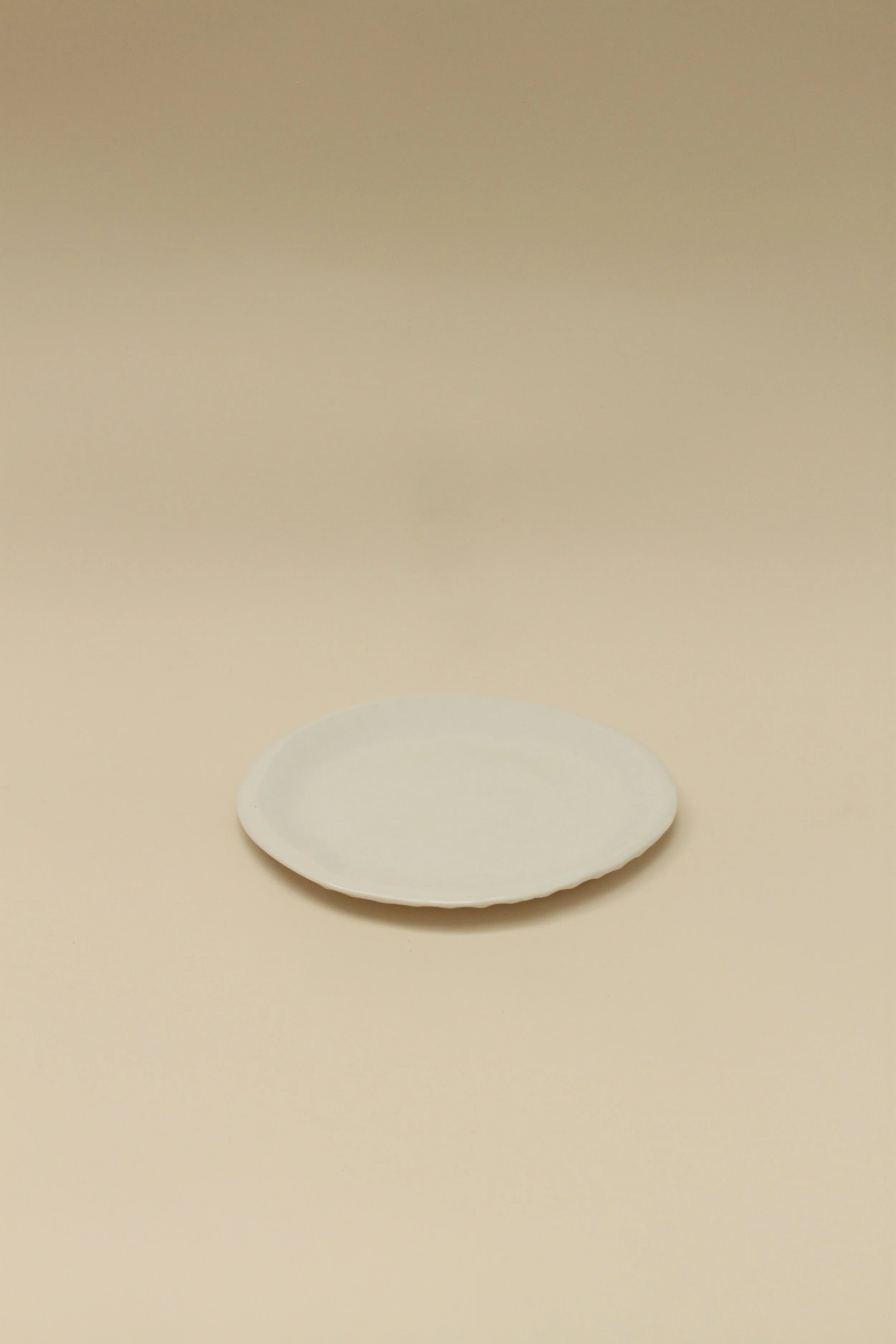 Assiette coquillage