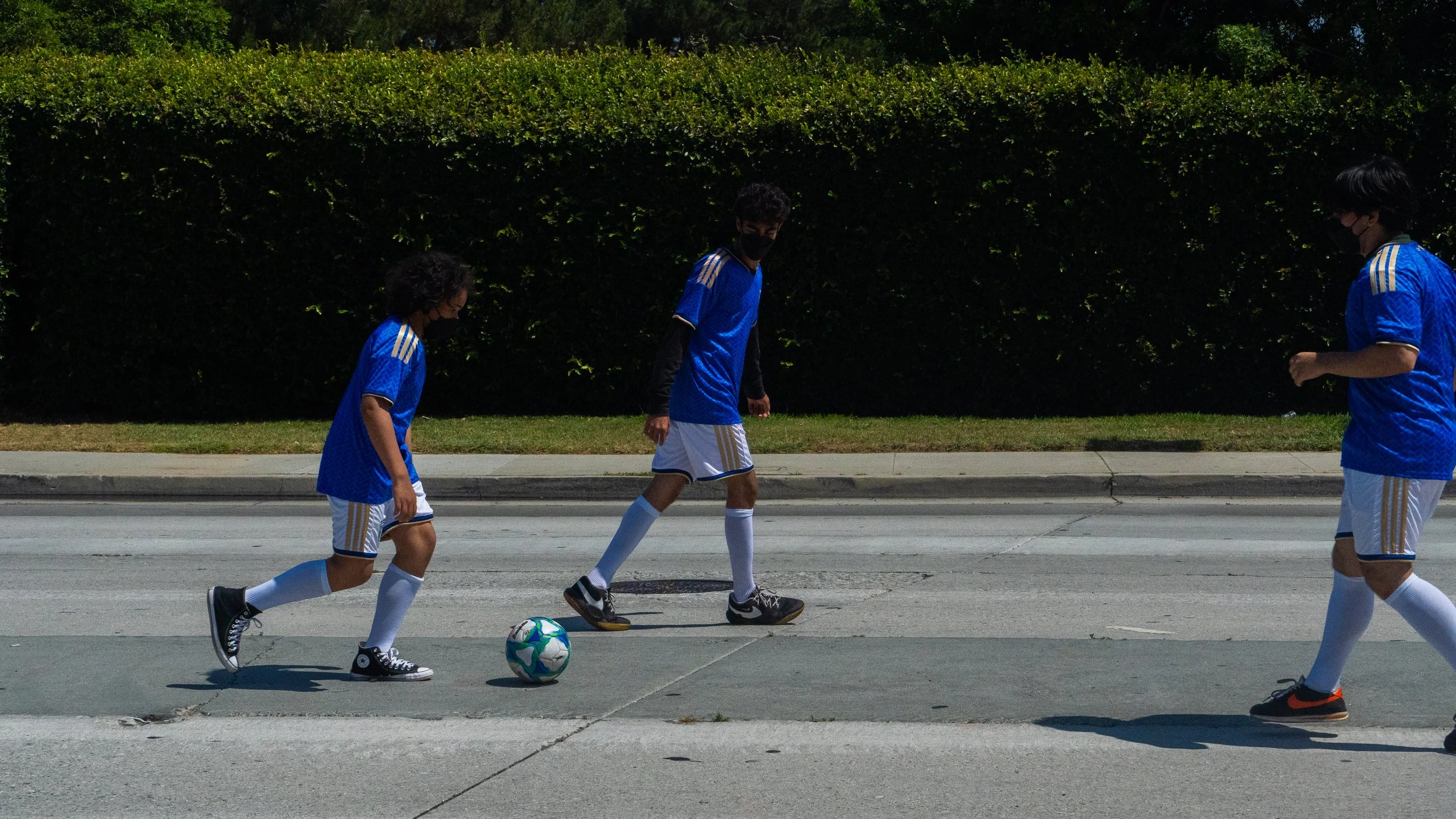 DSC09646.jpg