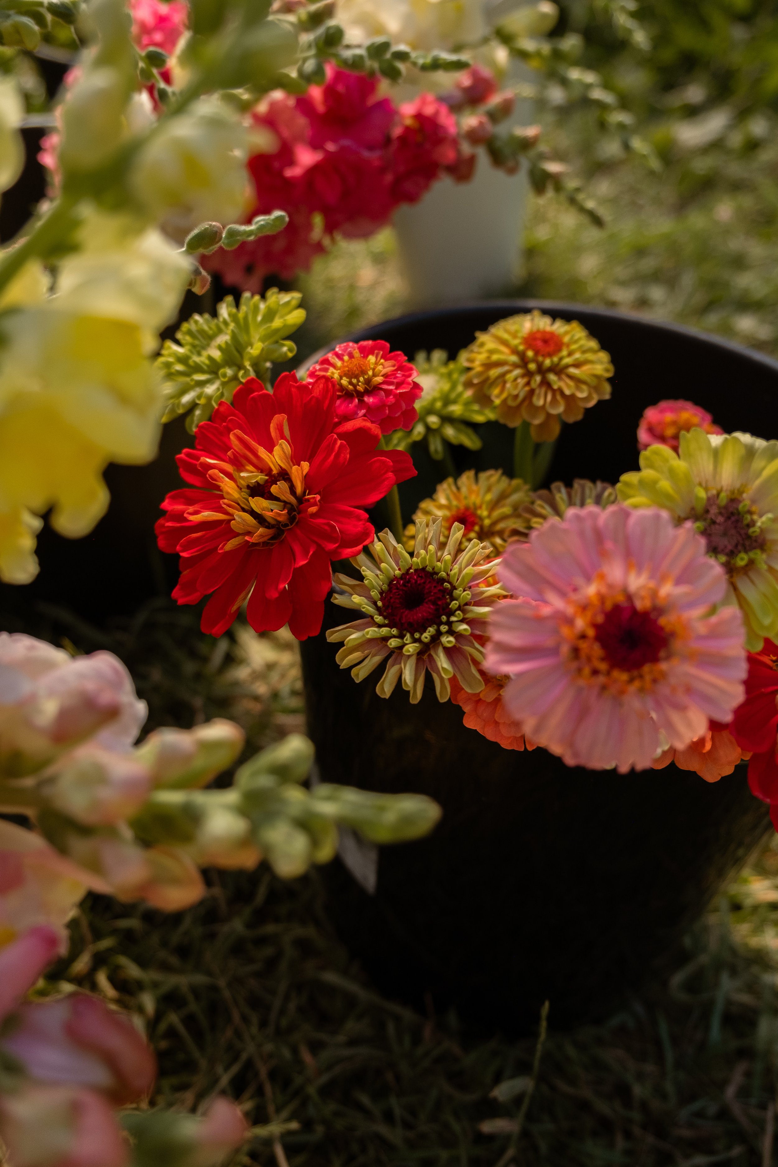 DSCF4510.jpg