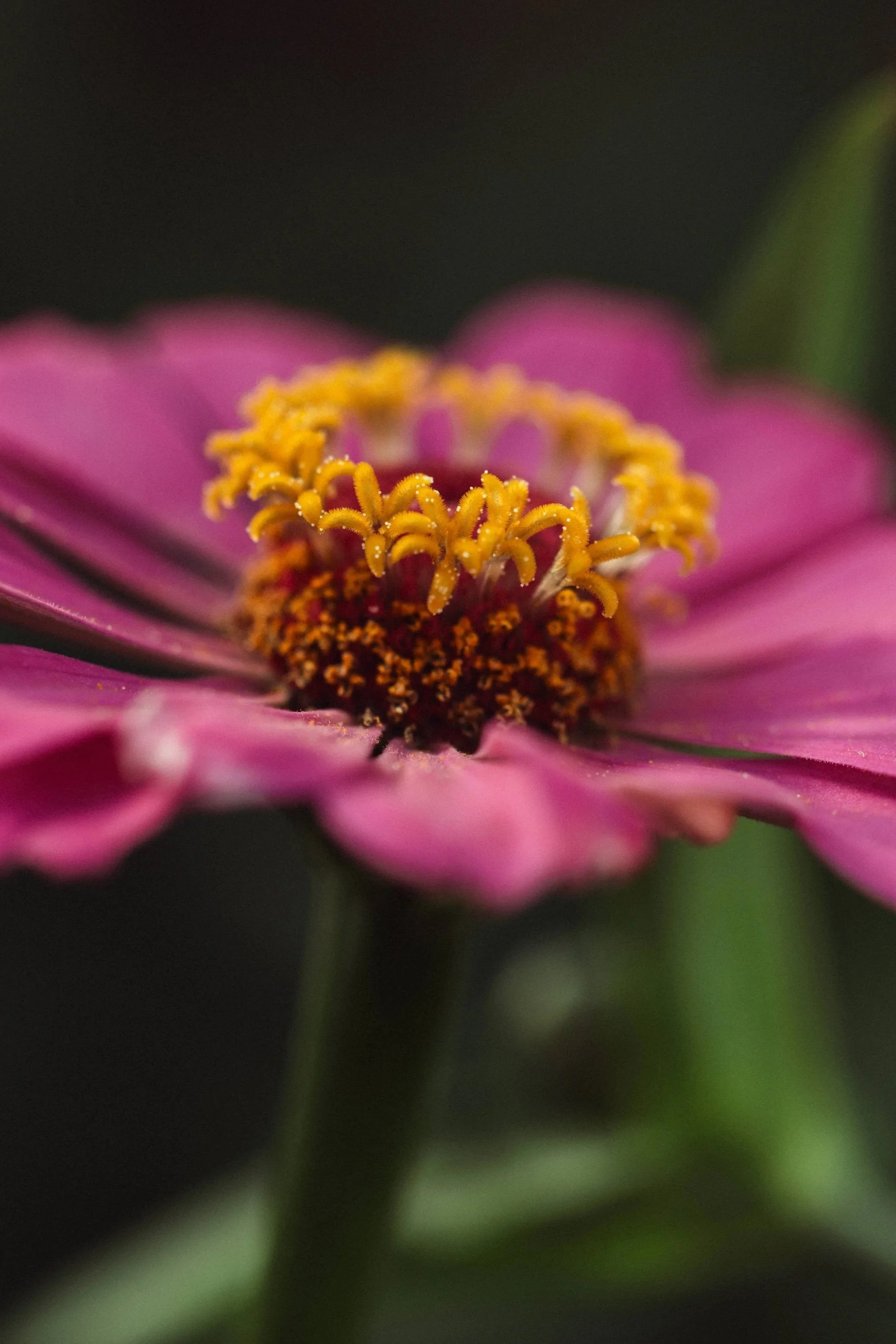 7K0A7953.jpg