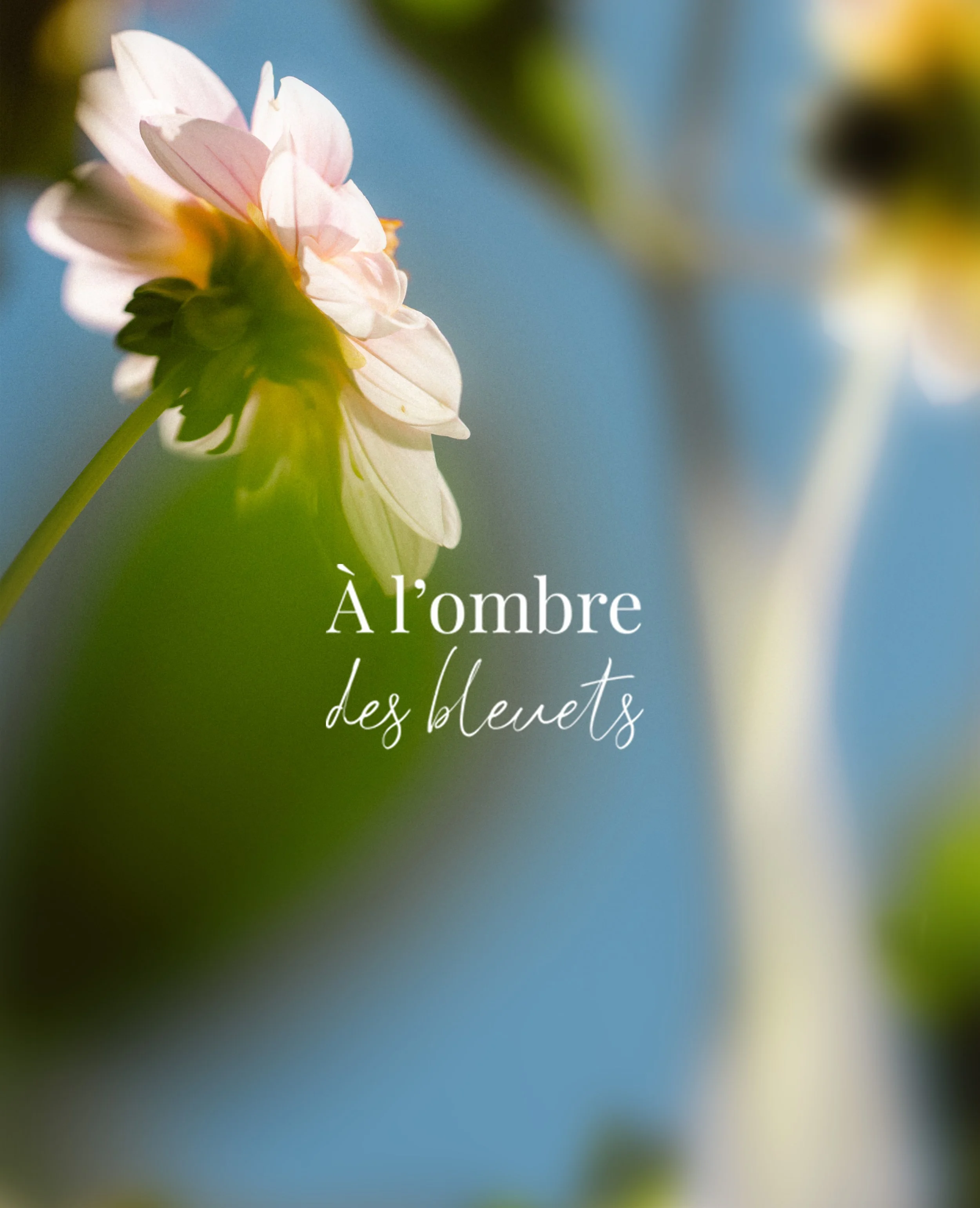 Photographies / Ferme florale