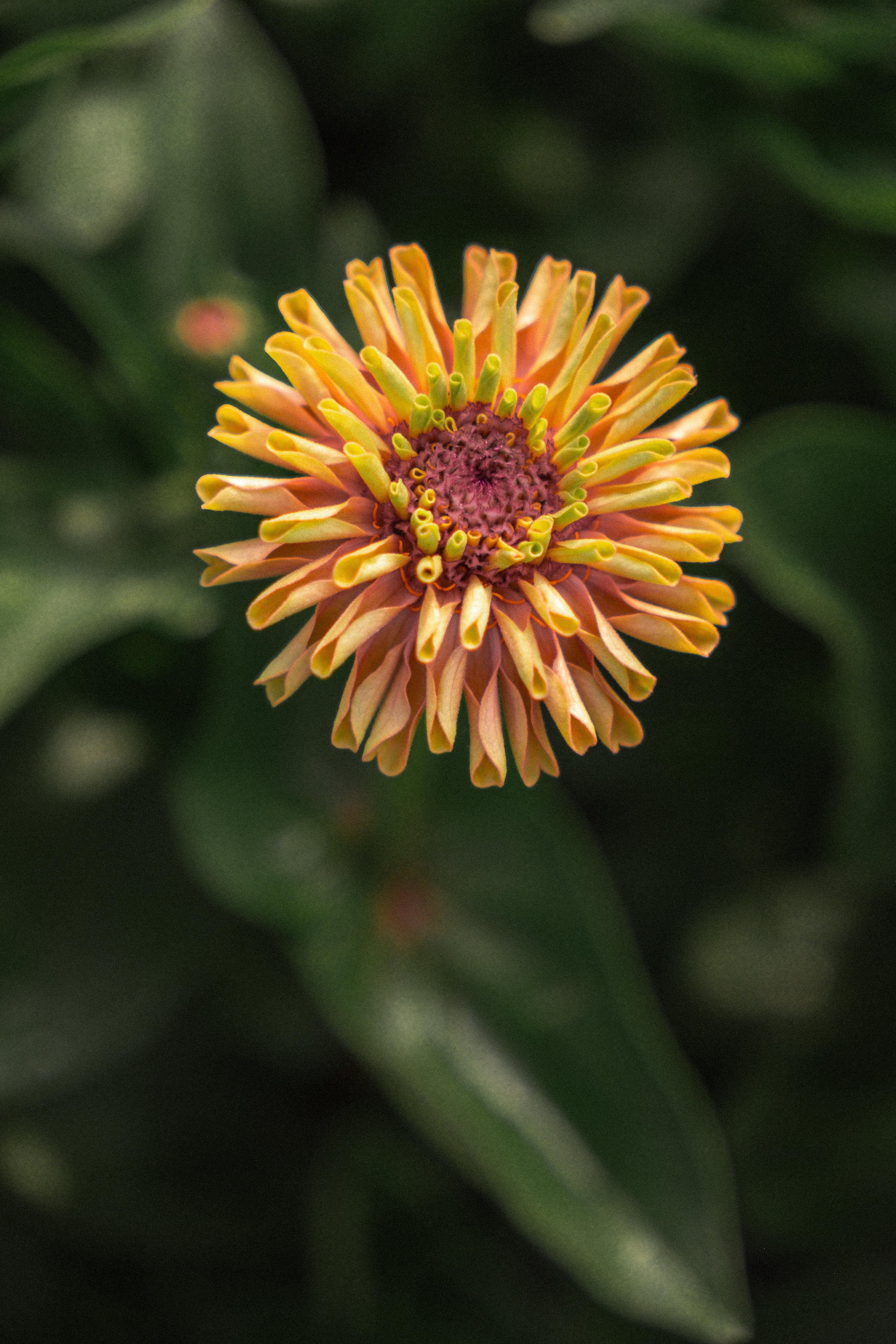 DSCF3724.jpg