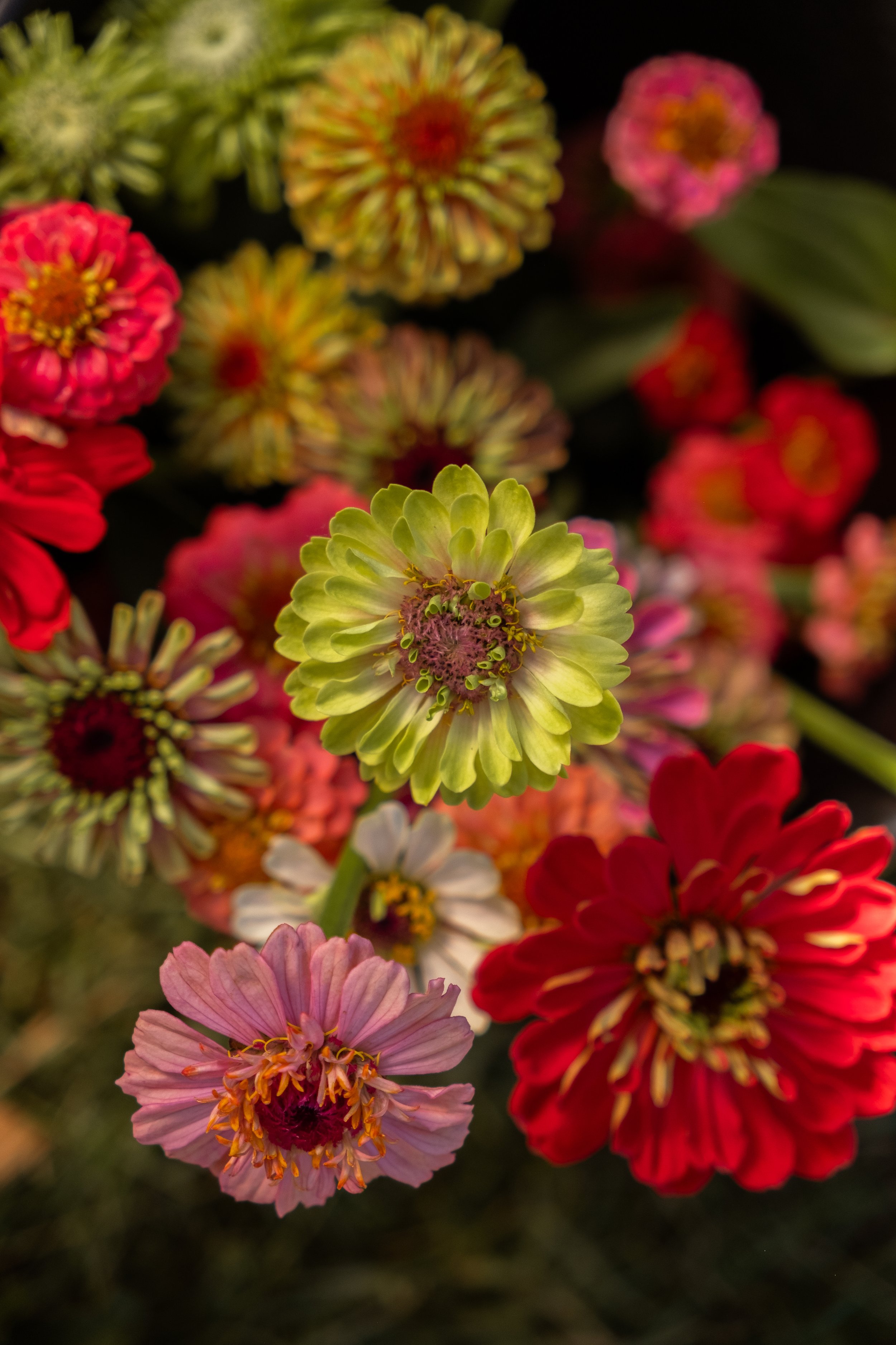 DSCF4497.jpg