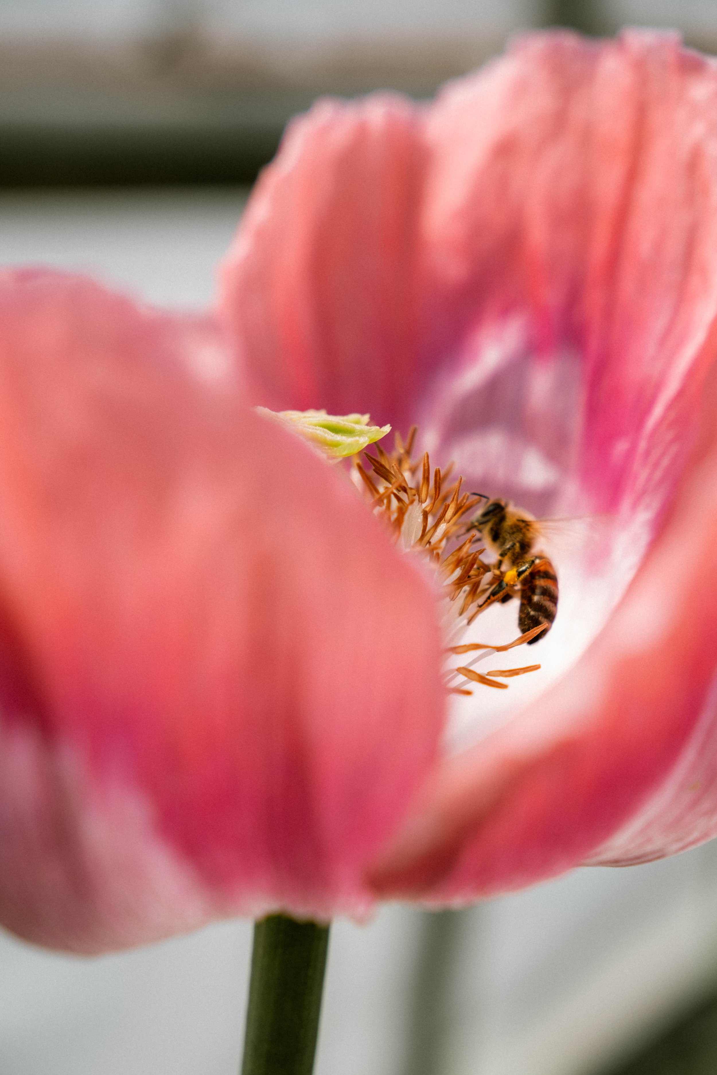 DSCF2707.jpg