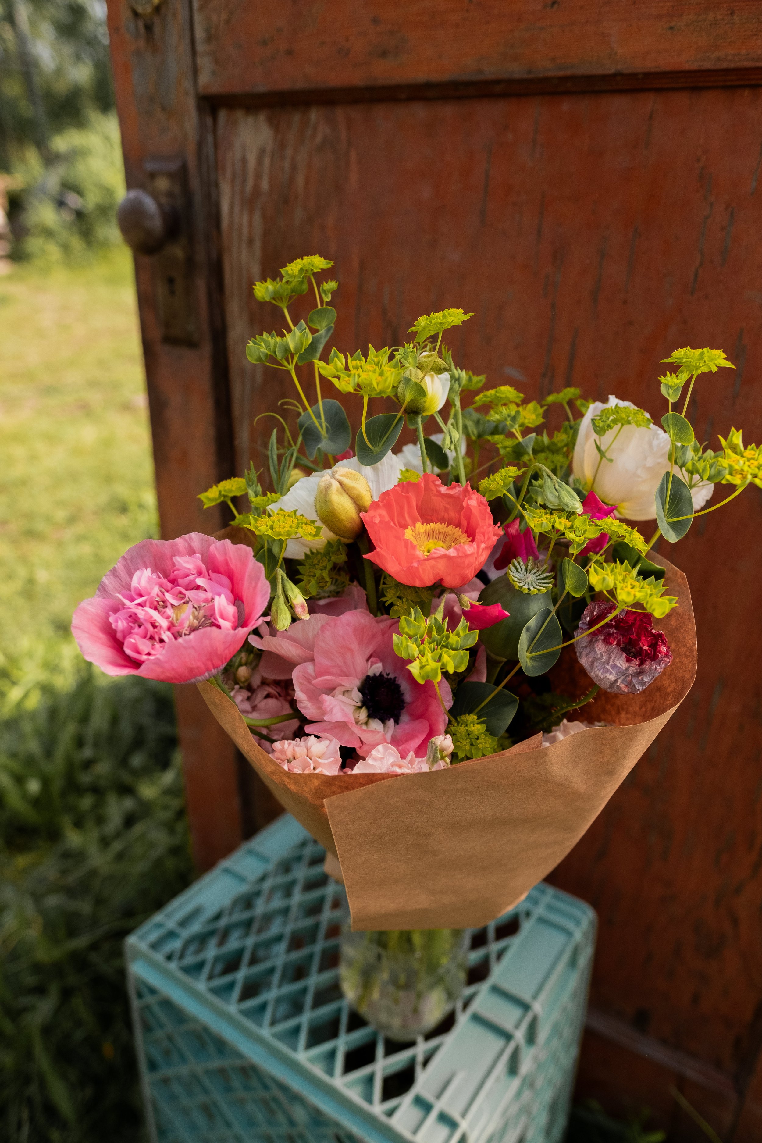 DSCF2506.jpg