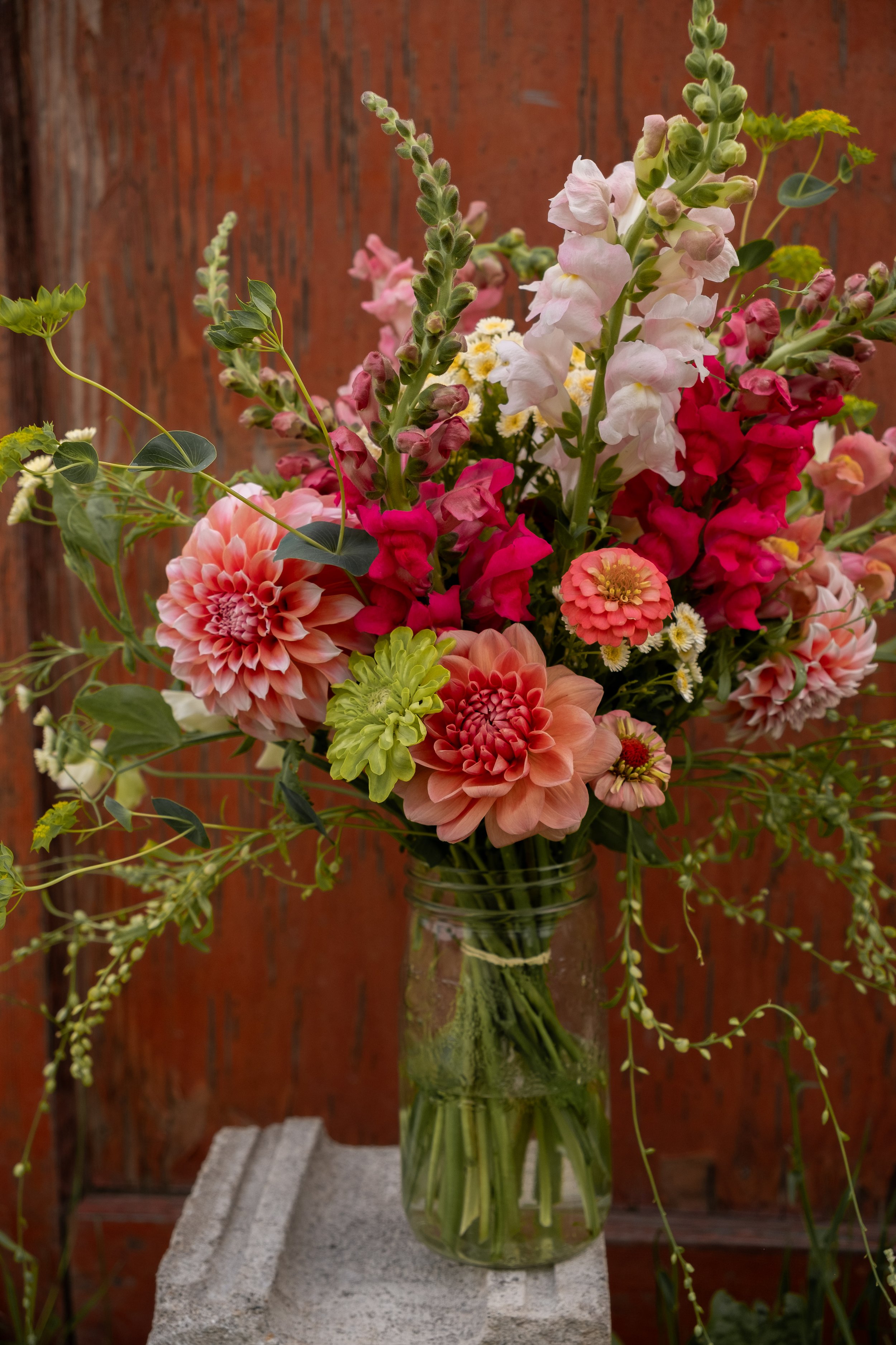 DSCF4806.jpg