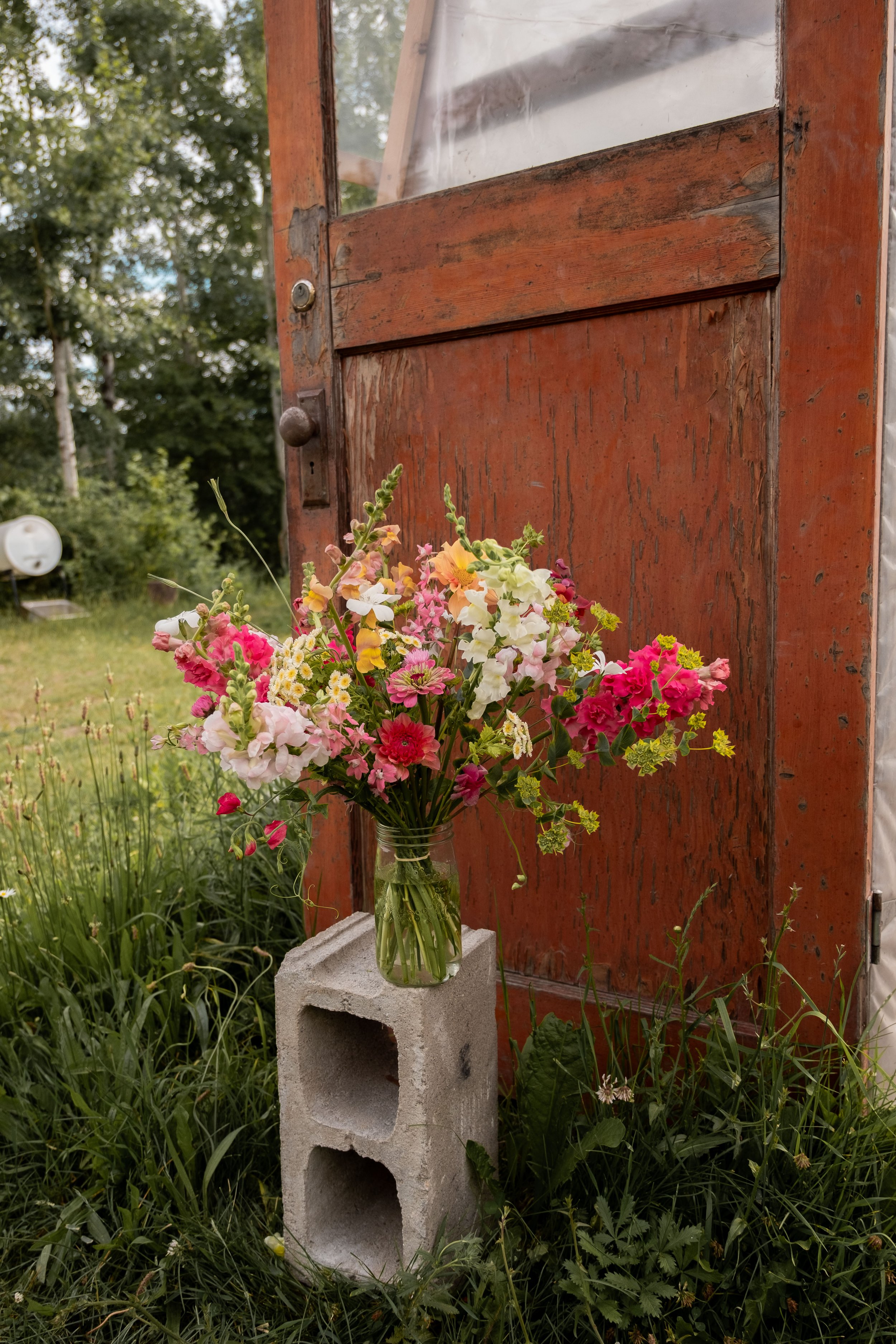 DSCF4850.jpg