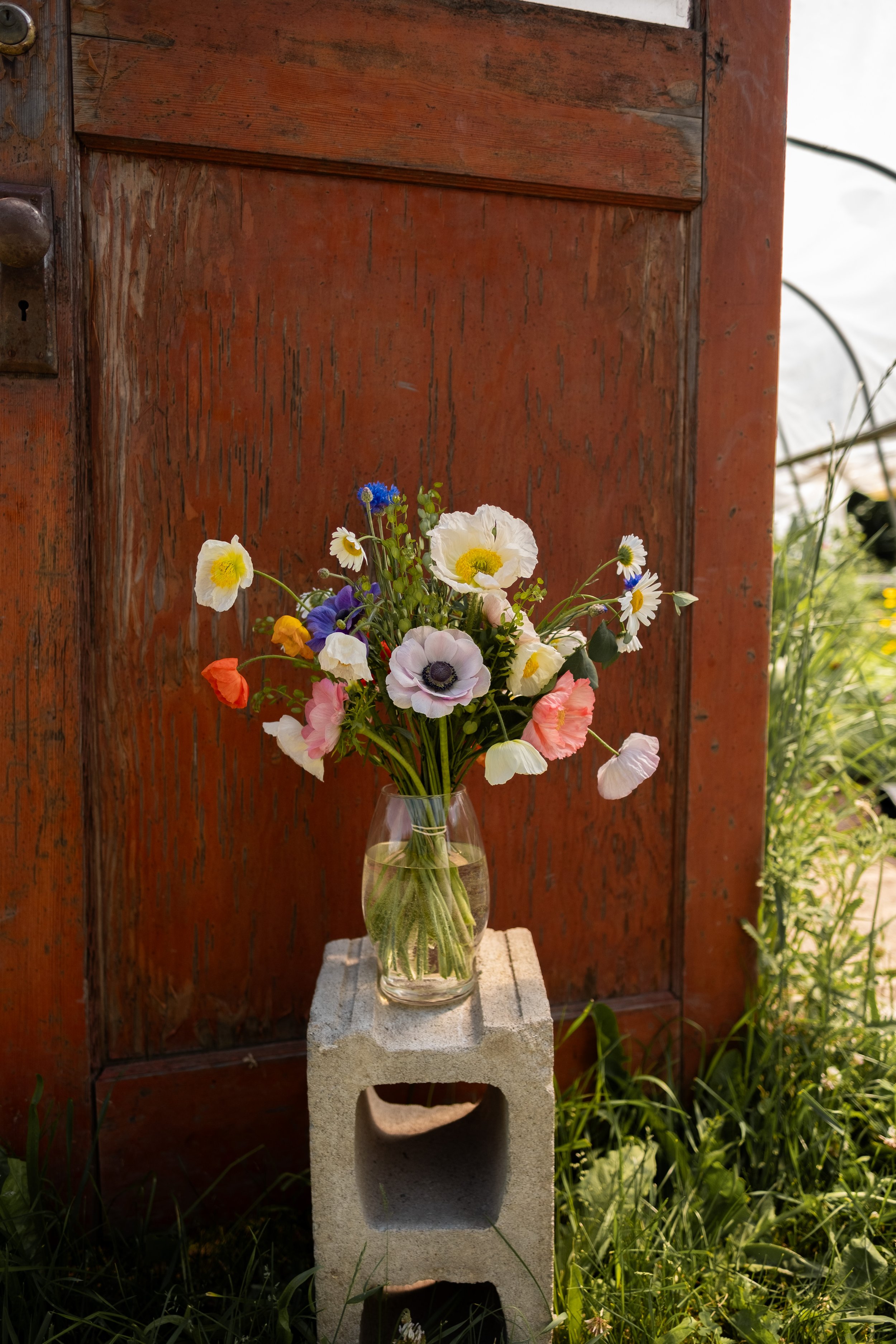 DSCF2393.jpg
