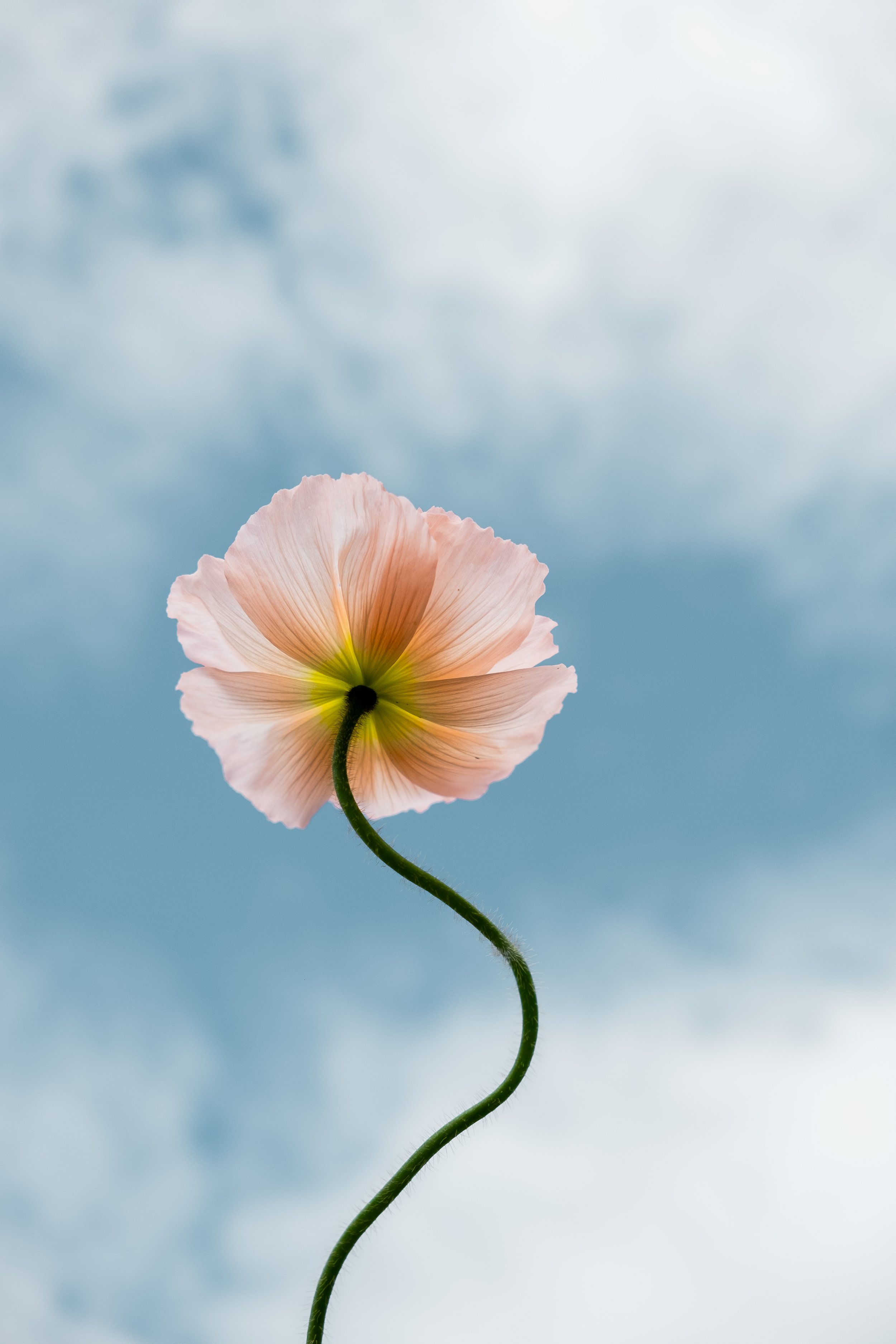 DSCF3054.jpg