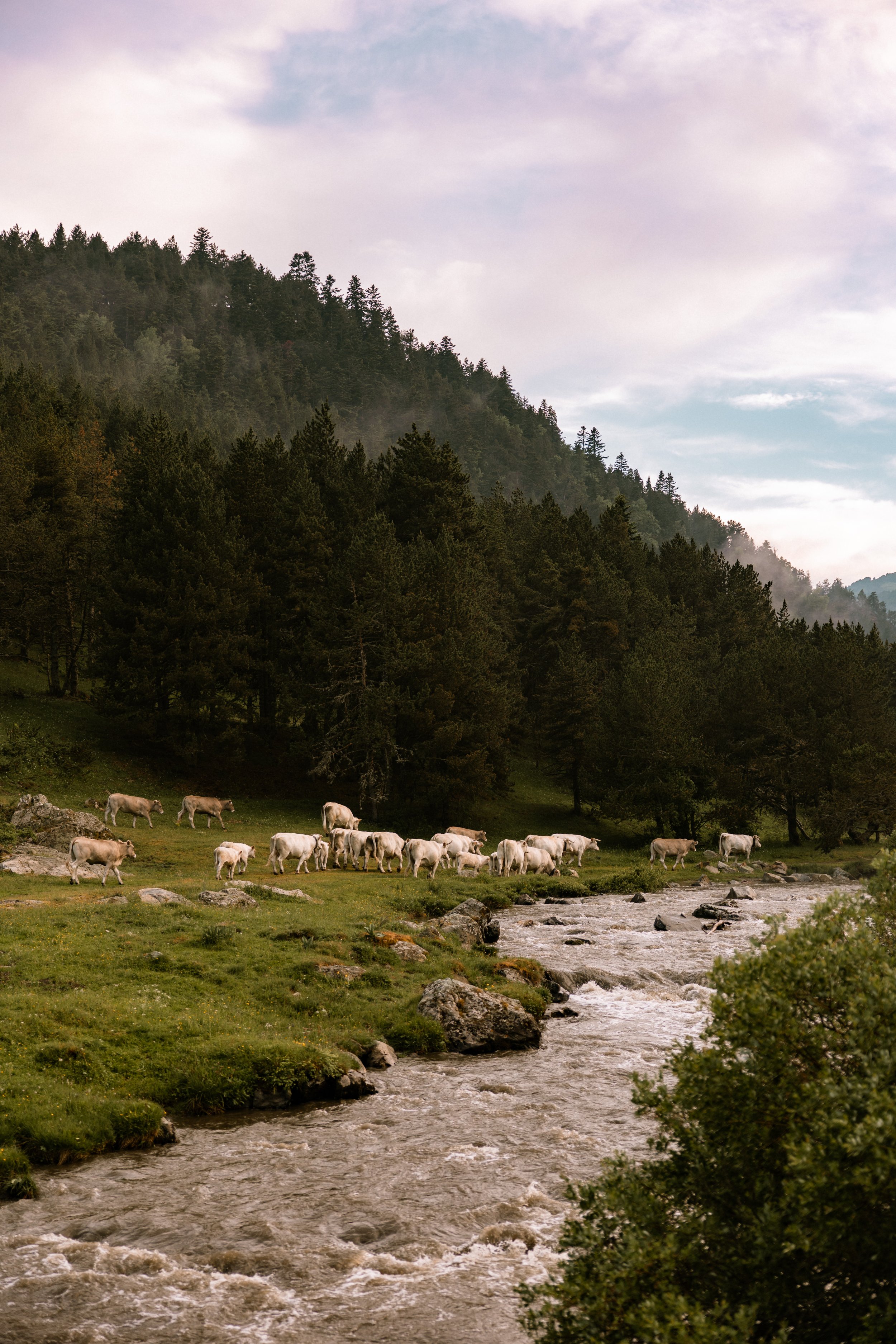 Passaran-randonnee-pyrenees2448.jpg