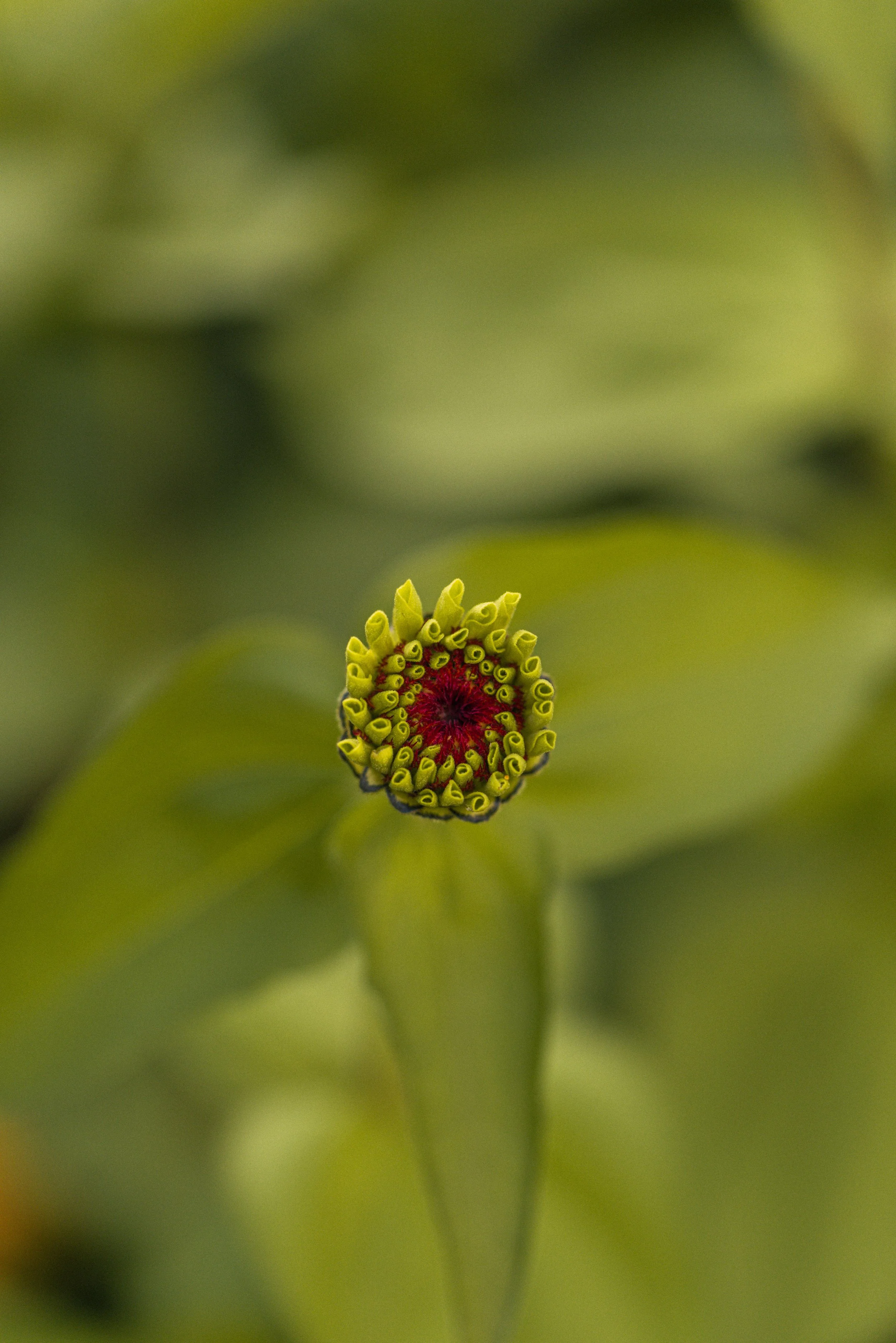 7K0A7944.jpg