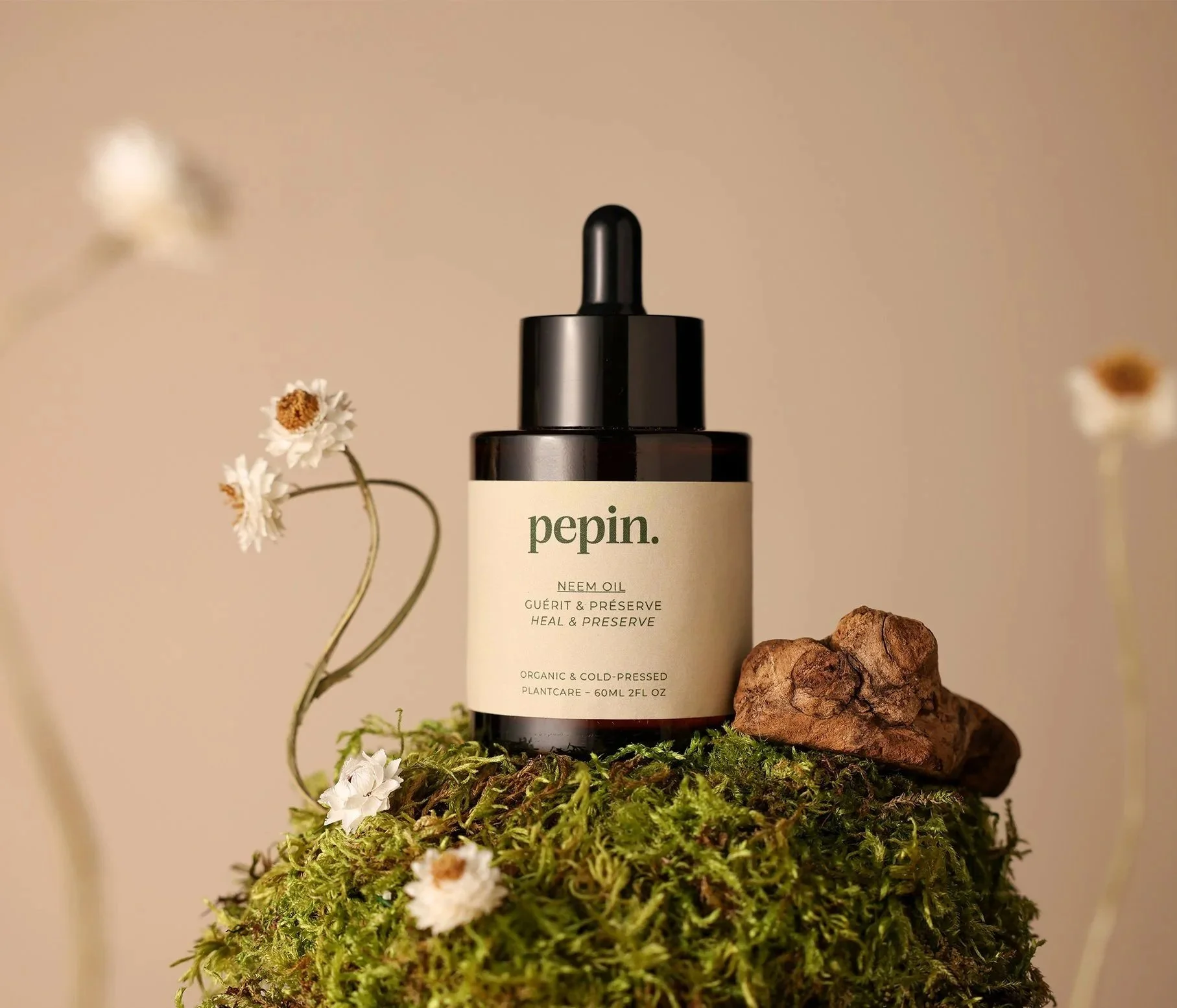 Photographies / Pépin Plant Care