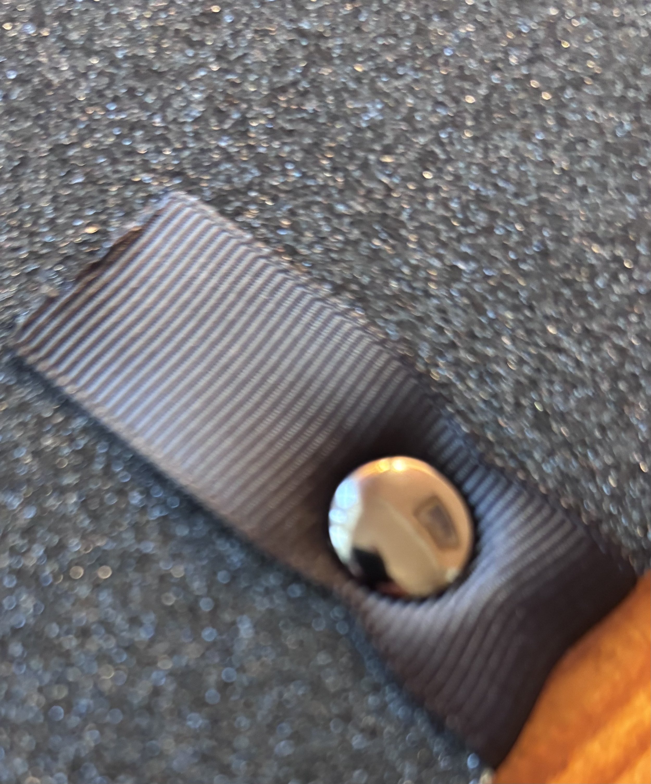 IMG_8128.jpeg